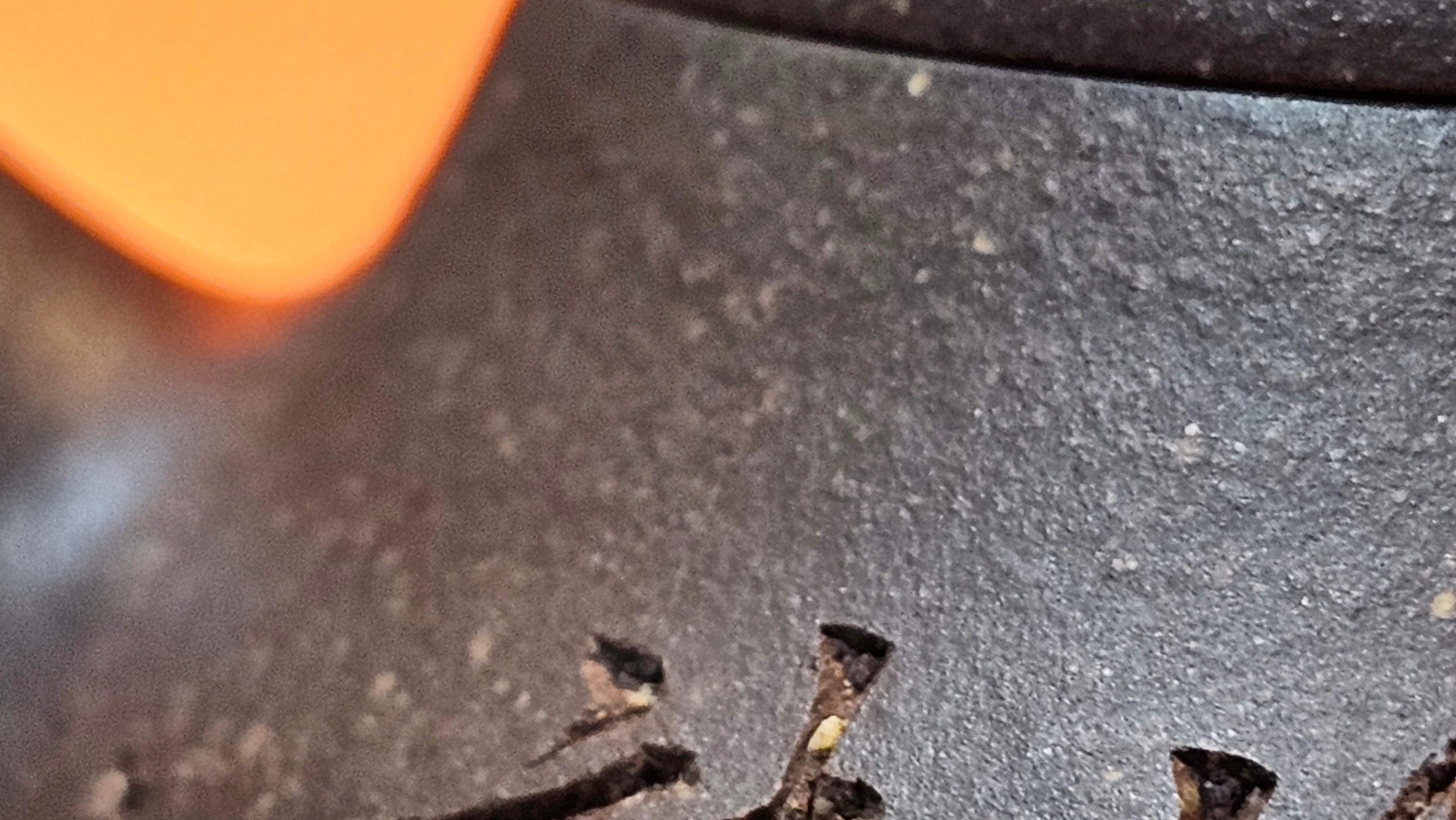 Qie Gua《茄瓜》~ "The Gourd", 152.8ml, Hei Zi Ni 黑紫泥, by our Craftsman Zhang Huan 张欢, Calligraphy and Lotus Engraving by Craftsman Yi Cheng 逸成 ~ Congratulations!to Dr L.L.! 1327hrs 19th Sept 2025! Ventura, CA!