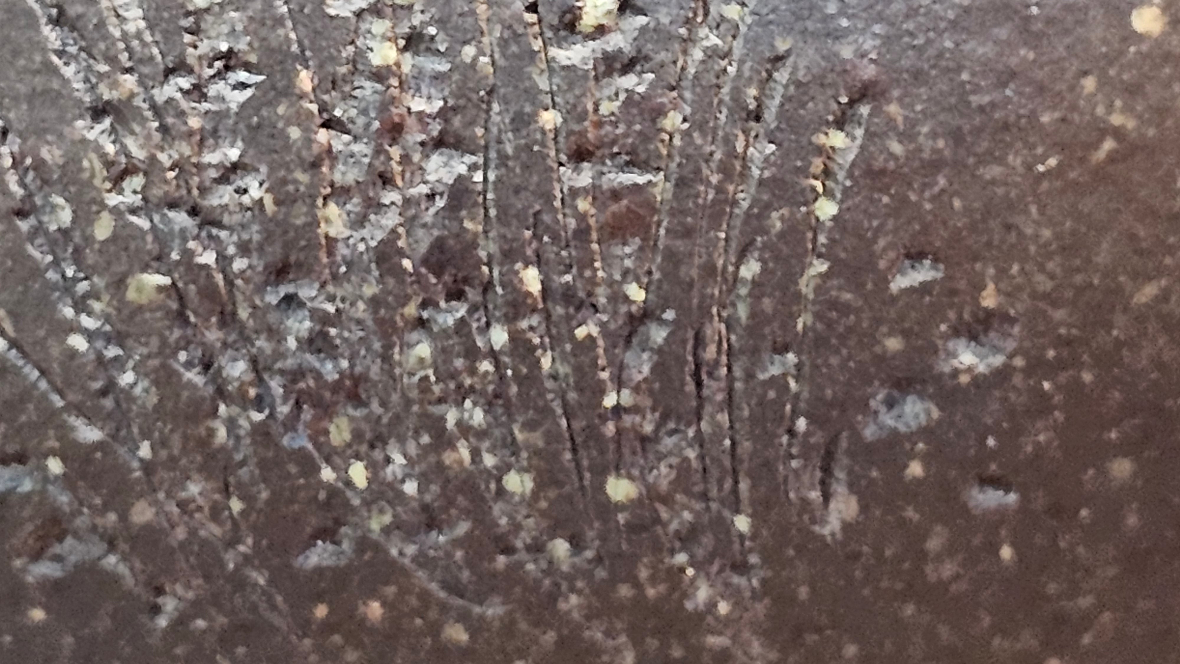 Qie Gua《茄瓜》~ "The Gourd", 152.8ml, Hei Zi Ni 黑紫泥, by our Craftsman Zhang Huan 张欢, Calligraphy and Lotus Engraving by Craftsman Yi Cheng 逸成 ~ Congratulations!to Dr L.L.! 1327hrs 19th Sept 2025! Ventura, CA!