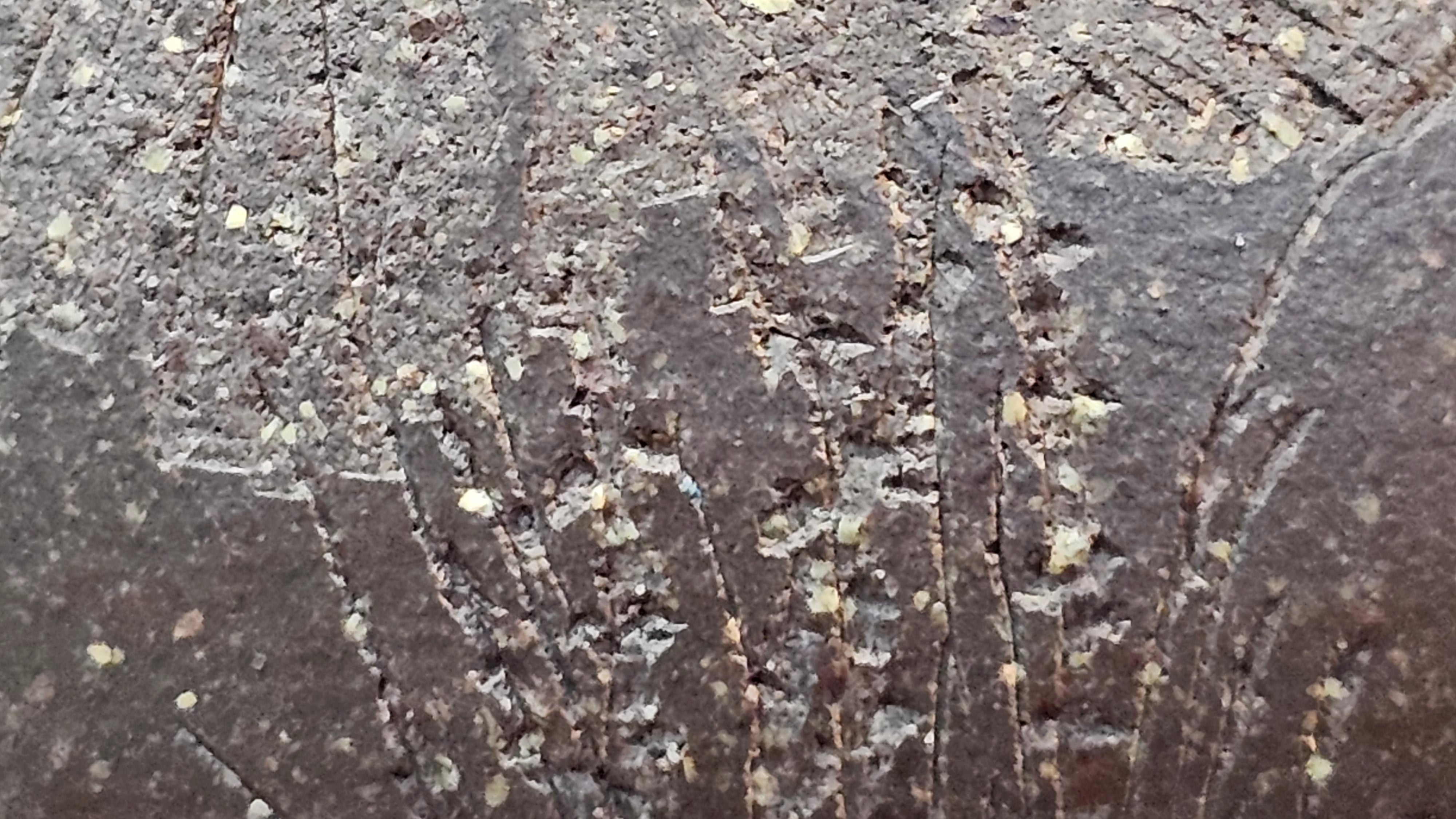 Qie Gua《茄瓜》~ "The Gourd", 152.8ml, Hei Zi Ni 黑紫泥, by our Craftsman Zhang Huan 张欢, Calligraphy and Lotus Engraving by Craftsman Yi Cheng 逸成 ~ Congratulations!to Dr L.L.! 1327hrs 19th Sept 2025! Ventura, CA!