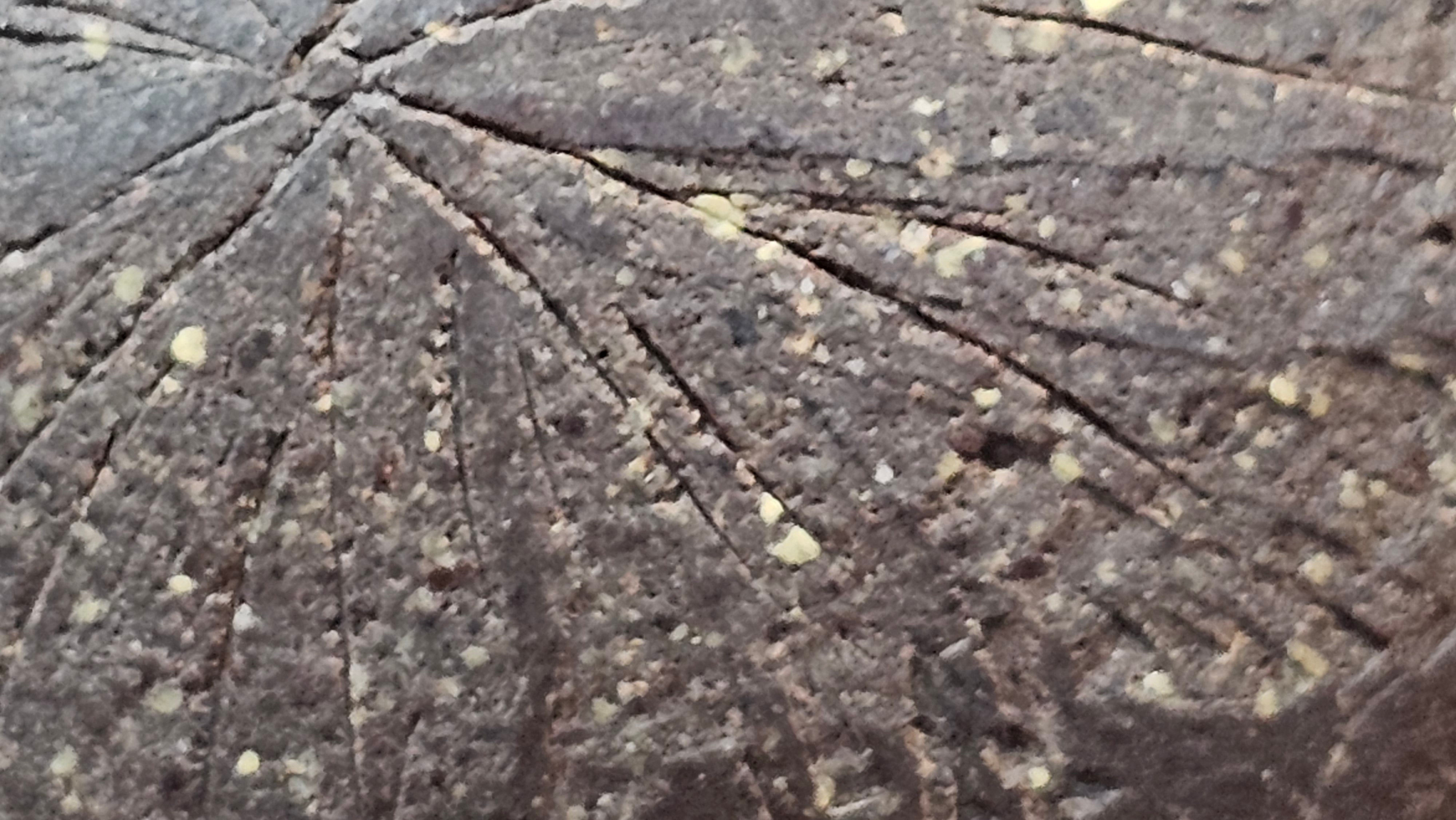 Qie Gua《茄瓜》~ "The Gourd", 152.8ml, Hei Zi Ni 黑紫泥, by our Craftsman Zhang Huan 张欢, Calligraphy and Lotus Engraving by Craftsman Yi Cheng 逸成 ~ Congratulations!to Dr L.L.! 1327hrs 19th Sept 2025! Ventura, CA!