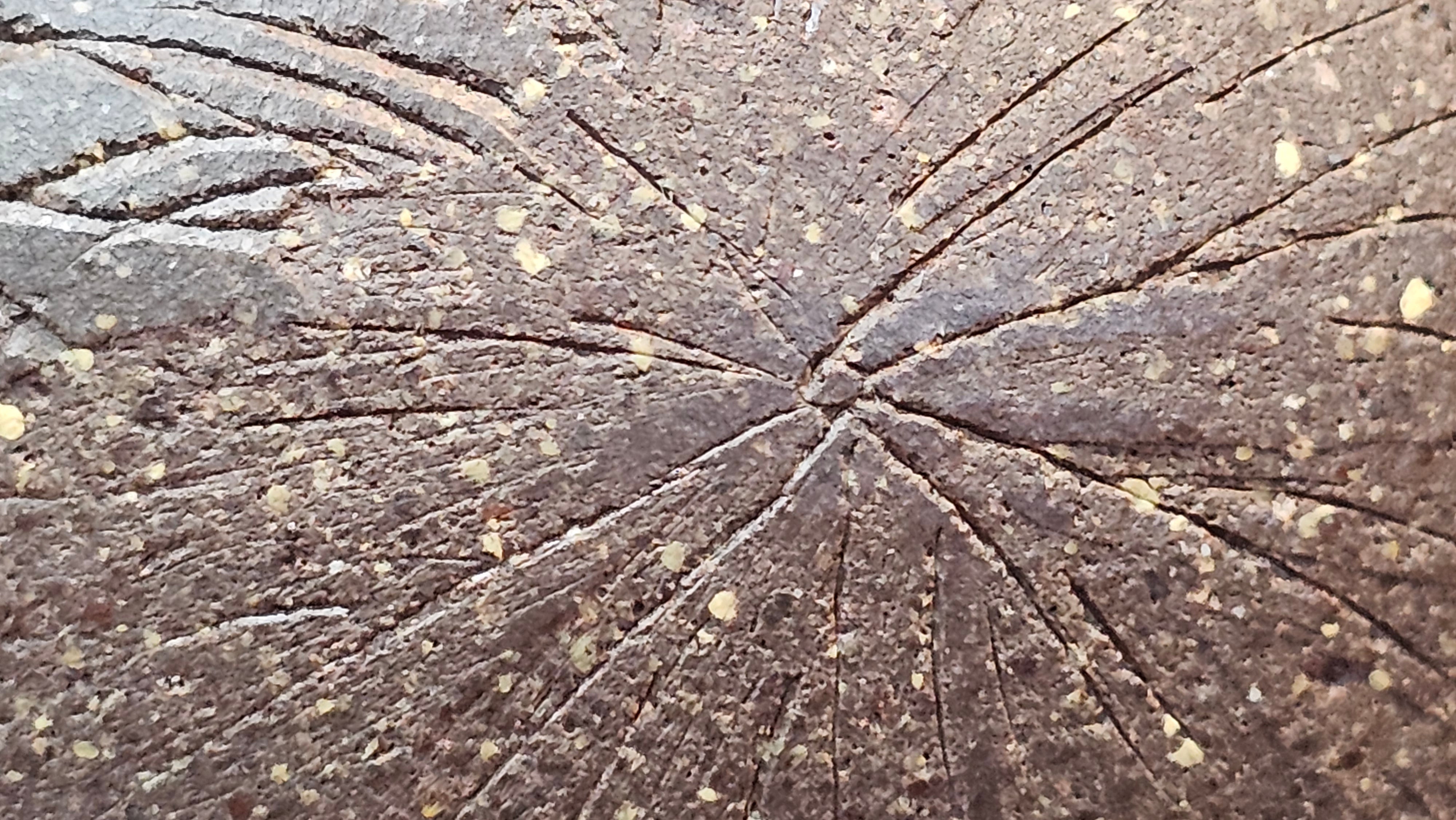 Qie Gua《茄瓜》~ "The Gourd", 152.8ml, Hei Zi Ni 黑紫泥, by our Craftsman Zhang Huan 张欢, Calligraphy and Lotus Engraving by Craftsman Yi Cheng 逸成 ~ Congratulations!to Dr L.L.! 1327hrs 19th Sept 2025! Ventura, CA!