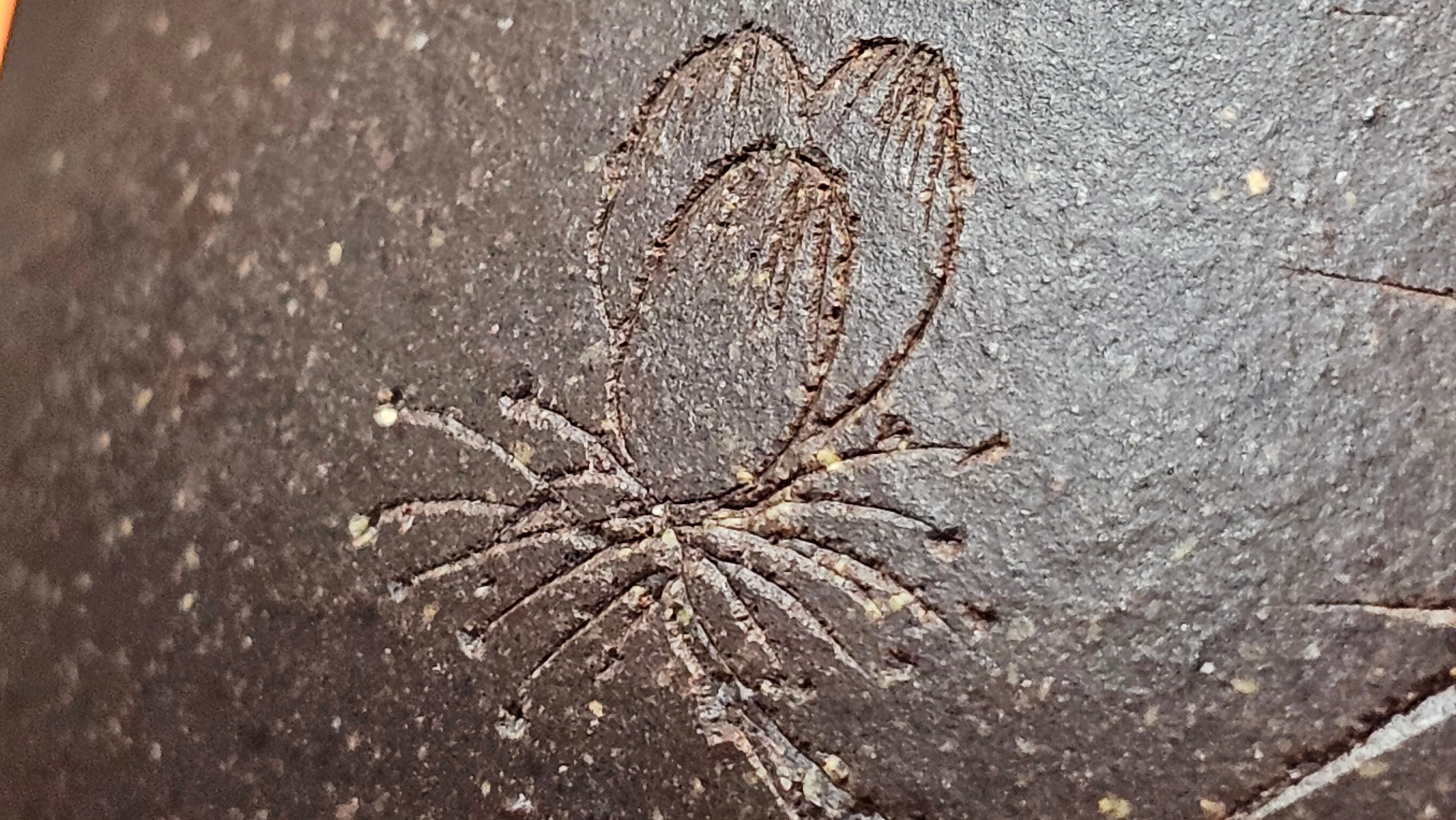 Qie Gua《茄瓜》~ "The Gourd", 152.8ml, Hei Zi Ni 黑紫泥, by our Craftsman Zhang Huan 张欢, Calligraphy and Lotus Engraving by Craftsman Yi Cheng 逸成 ~ Congratulations!to Dr L.L.! 1327hrs 19th Sept 2025! Ventura, CA!