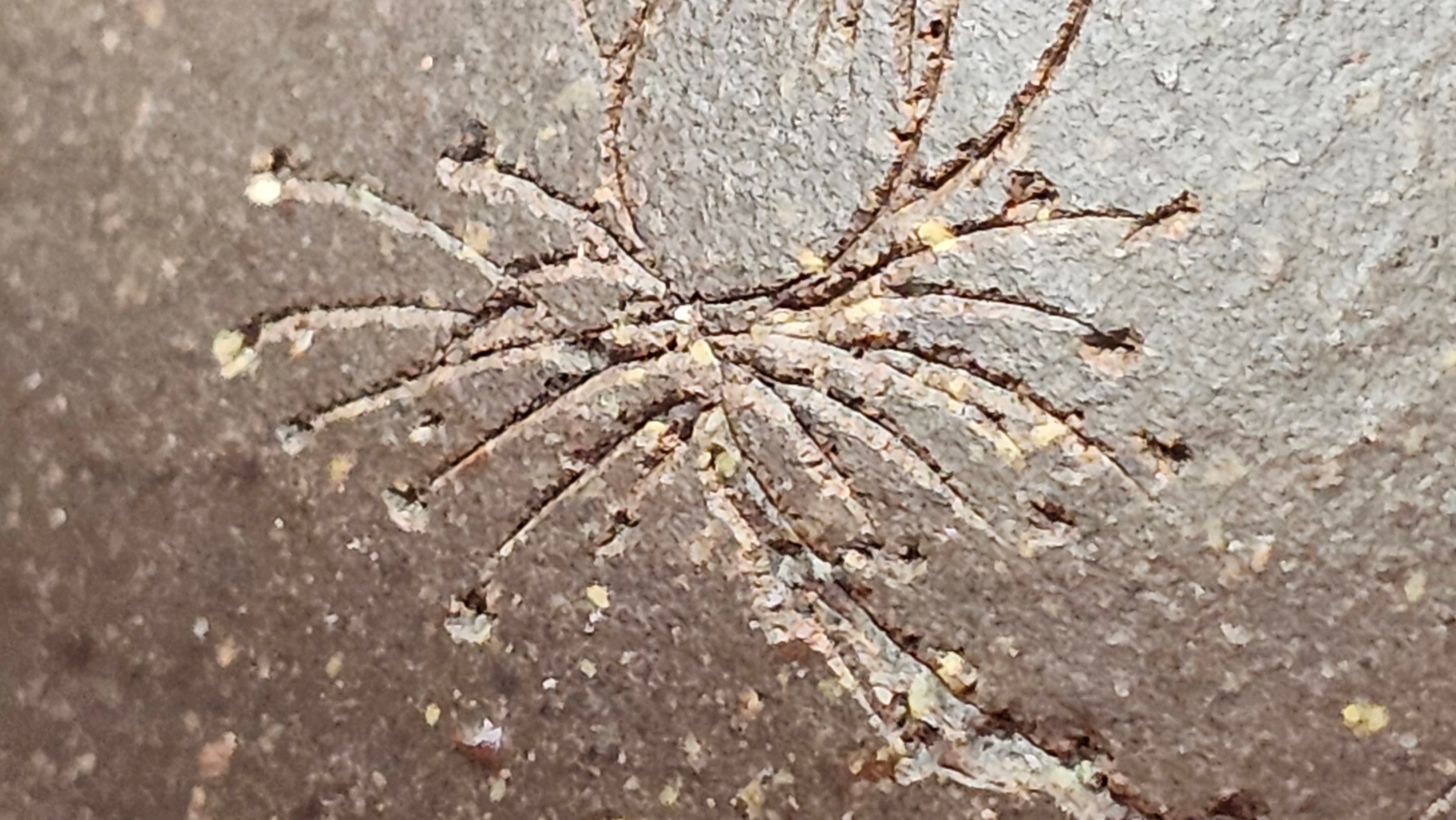 Qie Gua《茄瓜》~ "The Gourd", 152.8ml, Hei Zi Ni 黑紫泥, by our Craftsman Zhang Huan 张欢, Calligraphy and Lotus Engraving by Craftsman Yi Cheng 逸成 ~ Congratulations!to Dr L.L.! 1327hrs 19th Sept 2025! Ventura, CA!