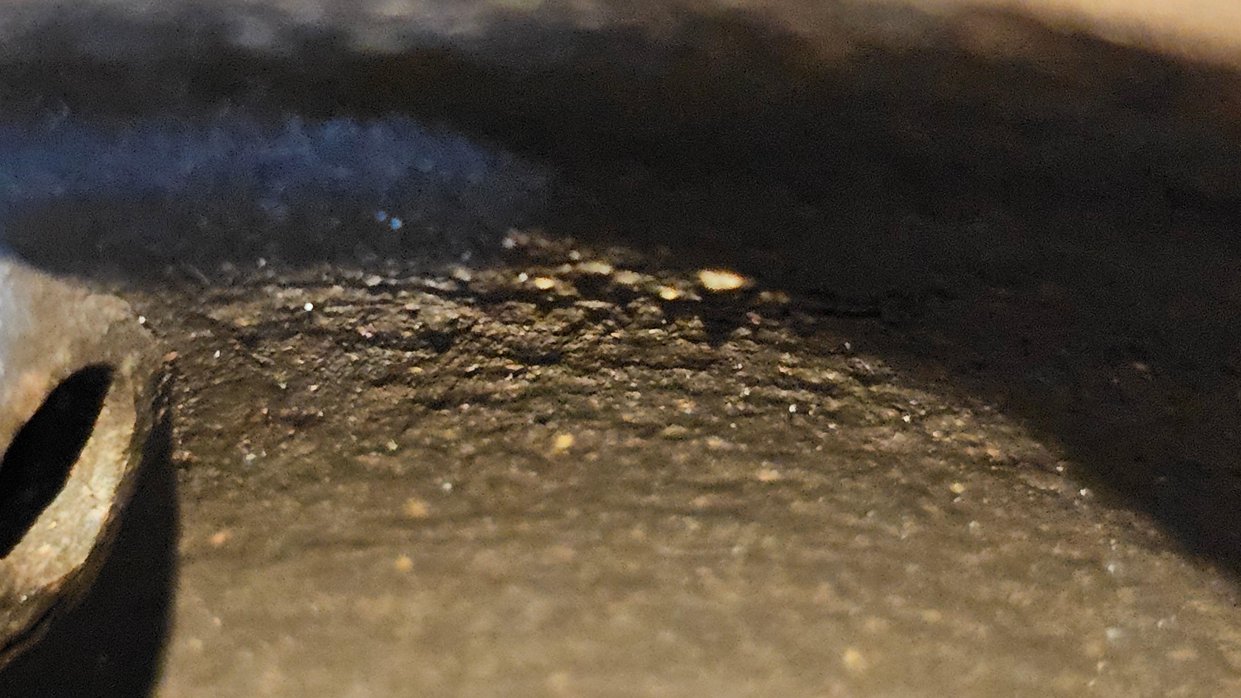 Qie Gua《茄瓜》~ "The Gourd", 152.8ml, Hei Zi Ni 黑紫泥, by our Craftsman Zhang Huan 张欢, Calligraphy and Lotus Engraving by Craftsman Yi Cheng 逸成 ~ Congratulations!to Dr L.L.! 1327hrs 19th Sept 2025! Ventura, CA!