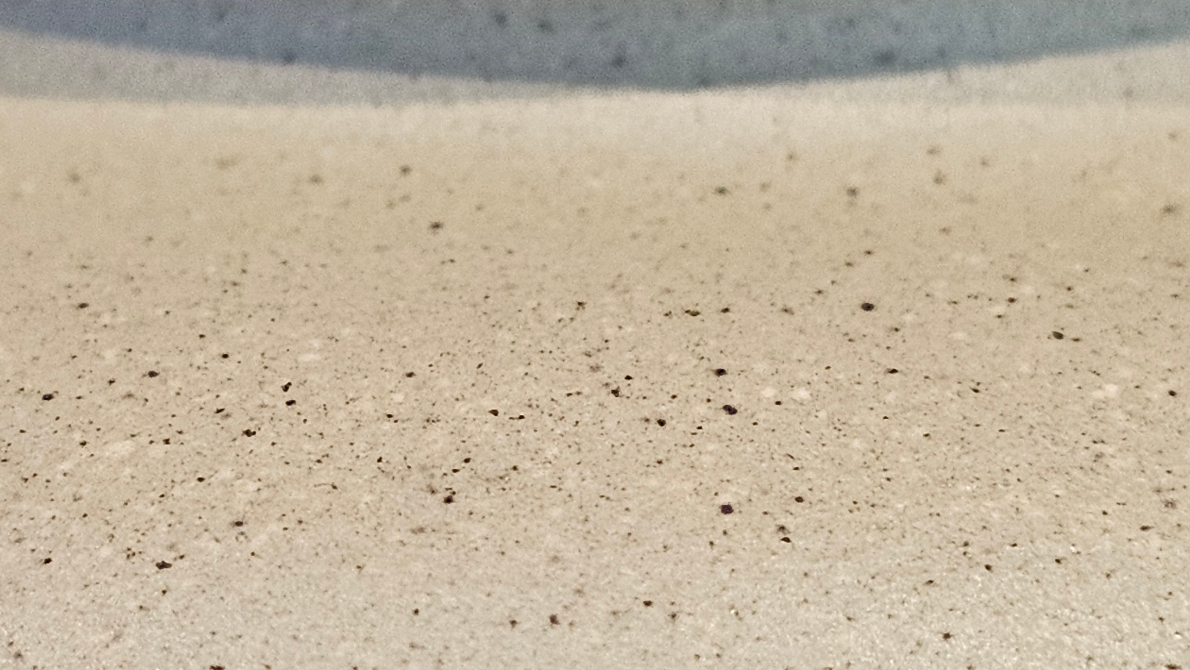 《高耀日》"Gao Yao Ri", Largish ~ 295.3ml, Ben Shan Duan Ni 本山段泥 ~ Crafted by L3A Consummate Master Artist Li Yan Ru 李艳如 ~ Congratulations!to Mr J.G.! 0851hrs 21st Sept 2025, New Orleans! LA!