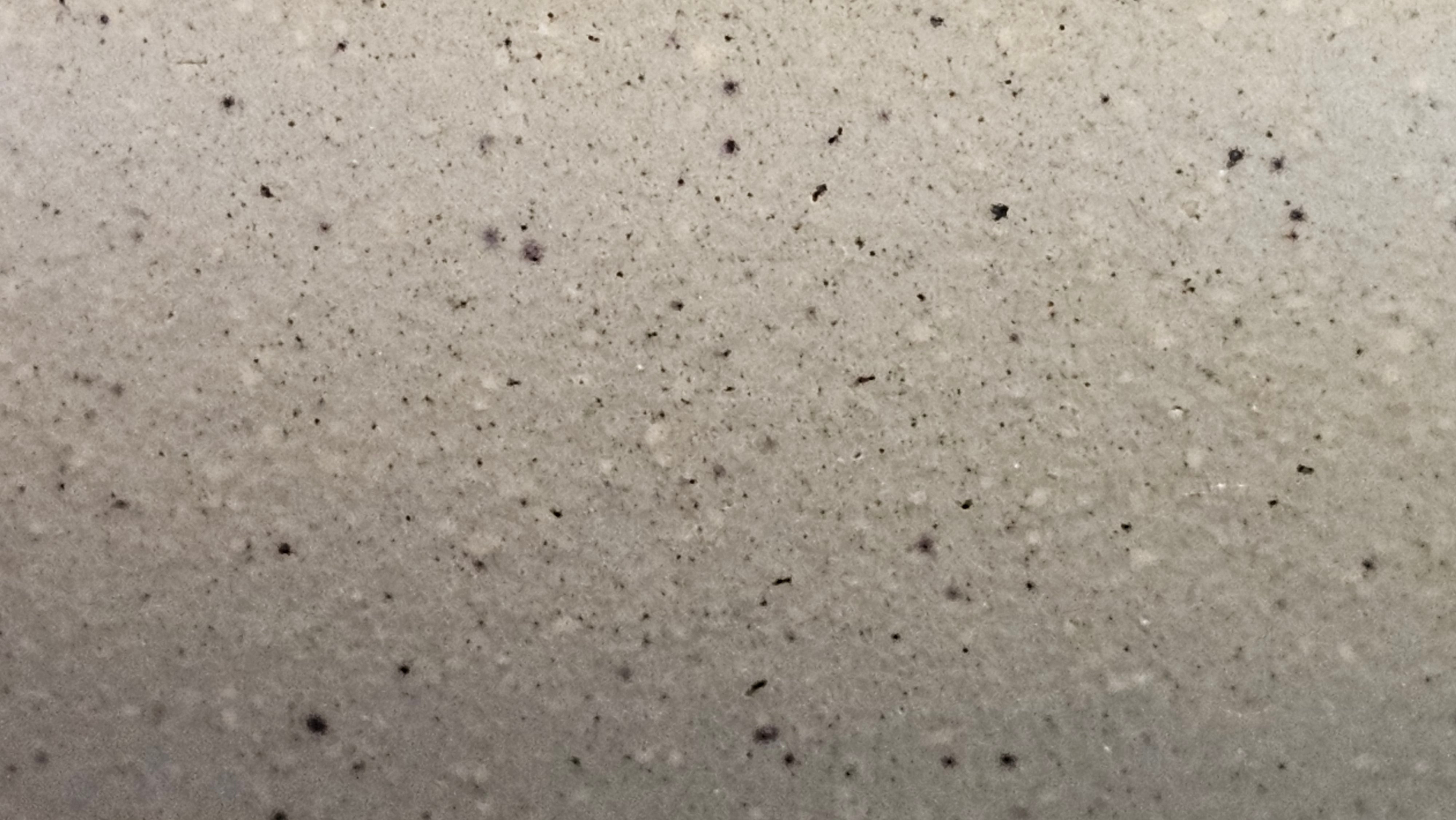 《高耀日》"Gao Yao Ri", Largish ~ 295.3ml, Ben Shan Duan Ni 本山段泥 ~ Crafted by L3A Consummate Master Artist Li Yan Ru 李艳如 ~ Congratulations!to Mr J.G.! 0851hrs 21st Sept 2025, New Orleans! LA!