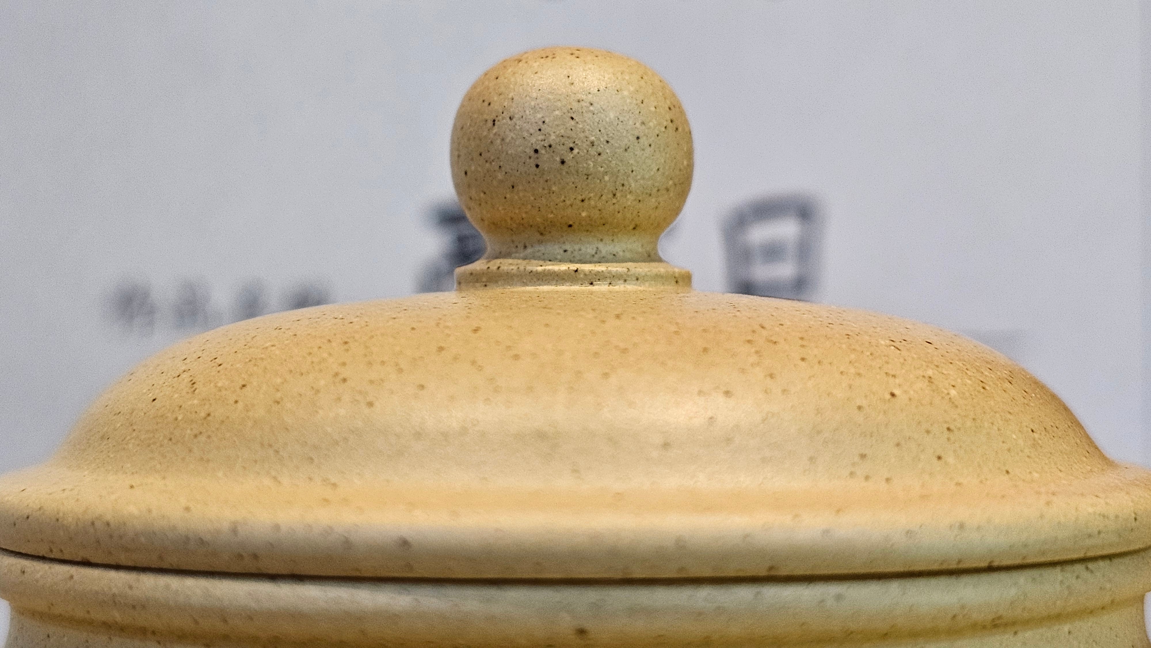 《高耀日》"Gao Yao Ri", Largish ~ 295.3ml, Ben Shan Duan Ni 本山段泥 ~ Crafted by L3A Consummate Master Artist Li Yan Ru 李艳如 ~ Congratulations!to Mr J.G.! 0851hrs 21st Sept 2025, New Orleans! LA!