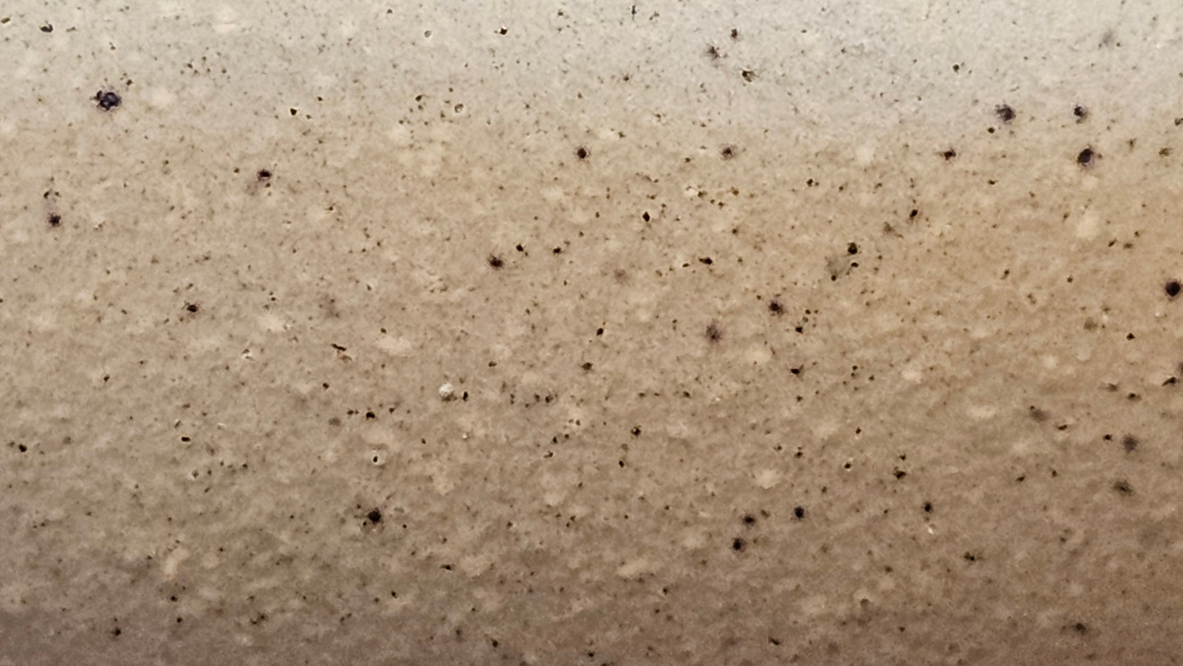 《高耀日》"Gao Yao Ri", Largish ~ 295.3ml, Ben Shan Duan Ni 本山段泥 ~ Crafted by L3A Consummate Master Artist Li Yan Ru 李艳如 ~ Congratulations!to Mr J.G.! 0851hrs 21st Sept 2025, New Orleans! LA!