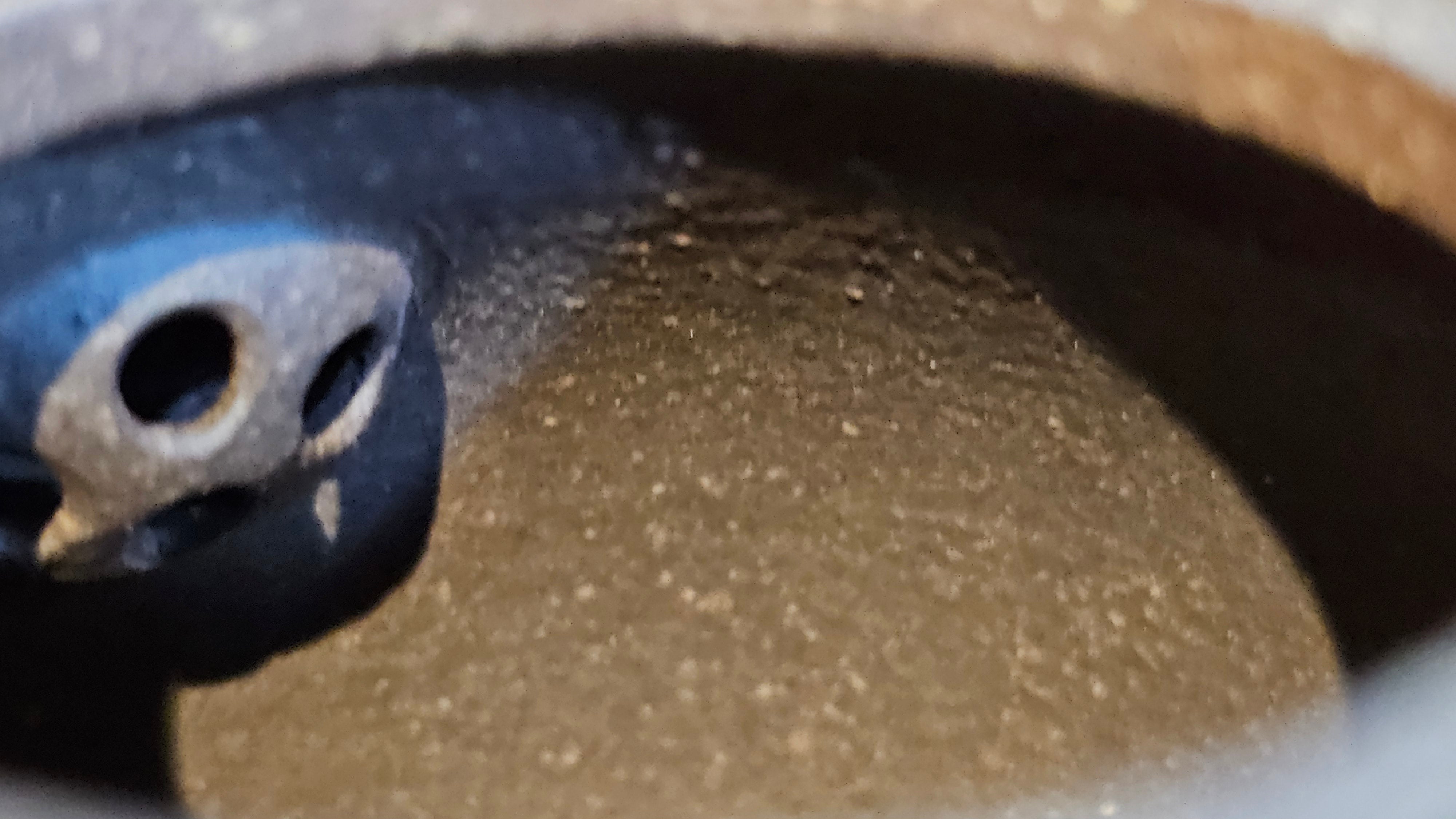 Qie Gua《茄瓜》~ "The Gourd", 153.3ml, Hei Zi Ni 黑紫泥, by our Craftsman Zhang Huan 张欢, Calligraphy and Orchids Engraving by Craftsman Yi Cheng 逸成 Congratulations!to Mr S.S.! 1401hrs 24th Sept 2025! India🇮🇳!