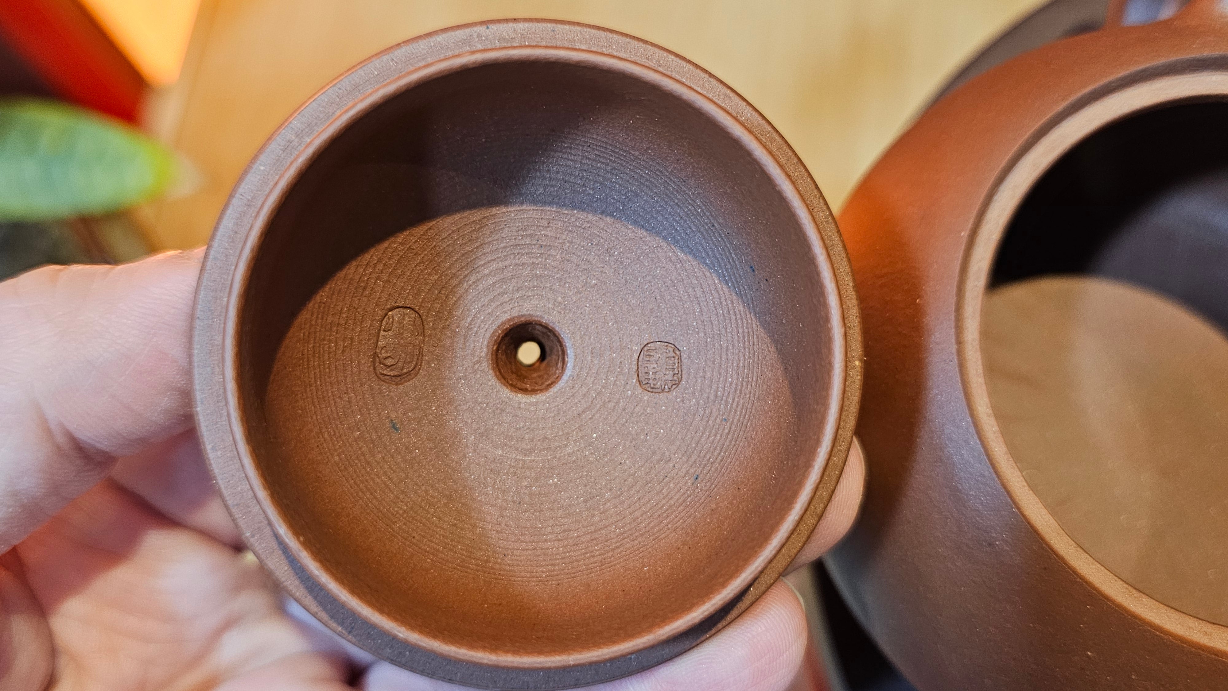 Xi Shi 西施, 205.3ml, Di Cao Qing Zi Ni 底槽青紫泥, by Craftsman Gu Xiao Ming 顾小明 ~ Congratulations to Mr E.A.! 1545hrs 4th Oct 2025, Colorado Springs! CO.