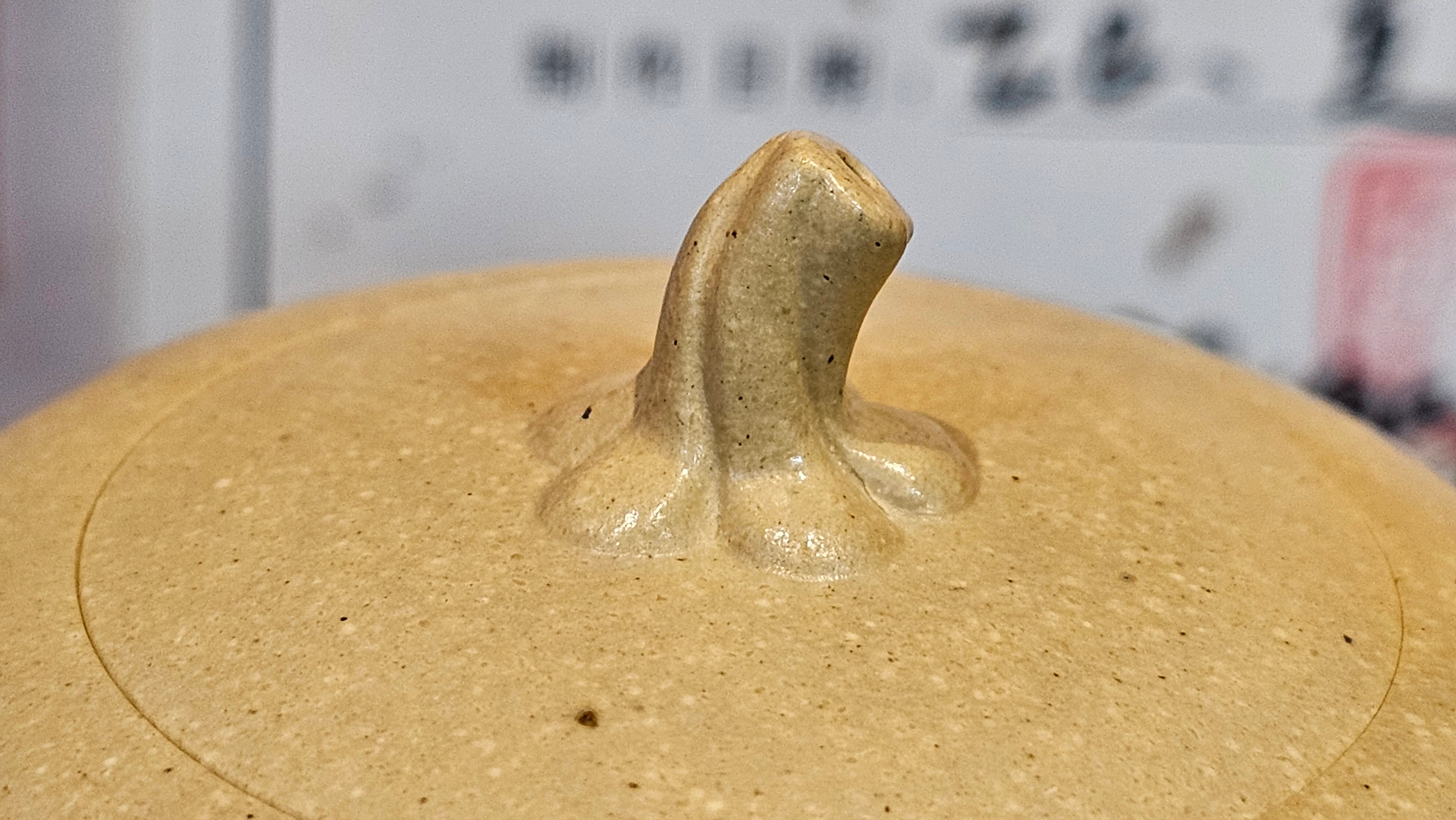 Commissioned work for Ms S.Muller: ZiSha work《甜瓜》"Tian Gua" 210ml, made with Cao Family's 100% BenShan LüNi 本山绿泥, crafted by L4 Assoc Master Artist Zhang Ke 助理工艺美术师, 张轲 ~ COMPLETED and CONGRATULATIONS to Ms S.Muller, Velden! The Netherlands🇳🇱.