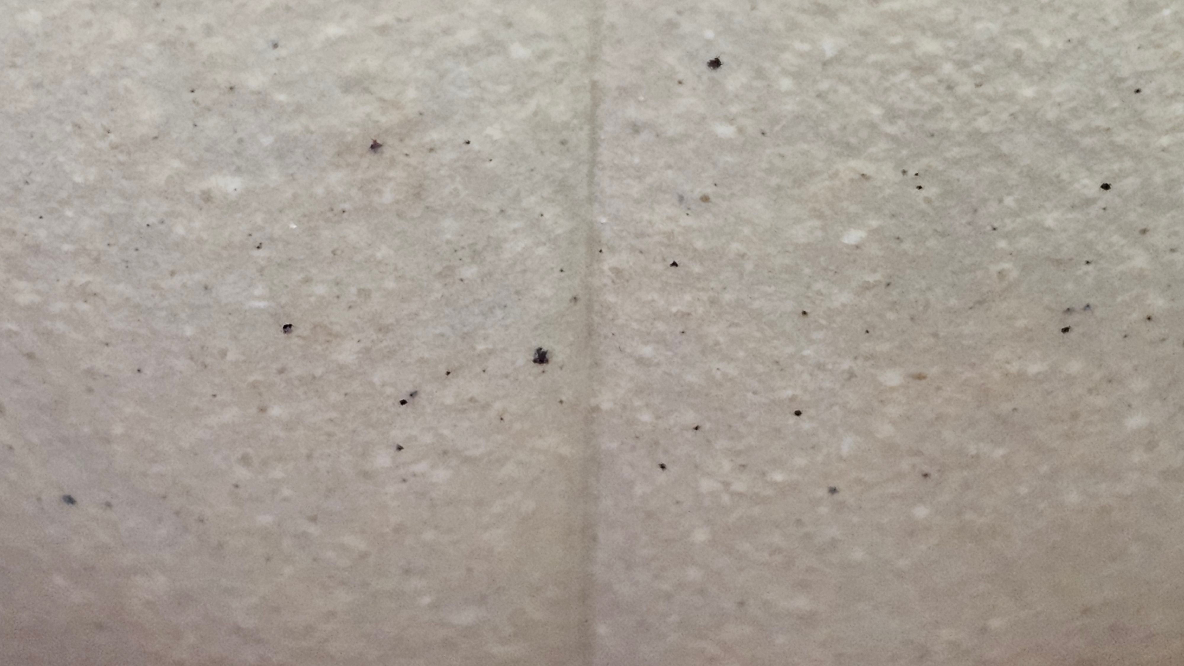 Commissioned work for Ms S.Muller: ZiSha work《甜瓜》"Tian Gua" 210ml, made with Cao Family's 100% BenShan LüNi 本山绿泥, crafted by L4 Assoc Master Artist Zhang Ke 助理工艺美术师, 张轲 ~ COMPLETED and CONGRATULATIONS to Ms S.Muller, Velden! The Netherlands🇳🇱.