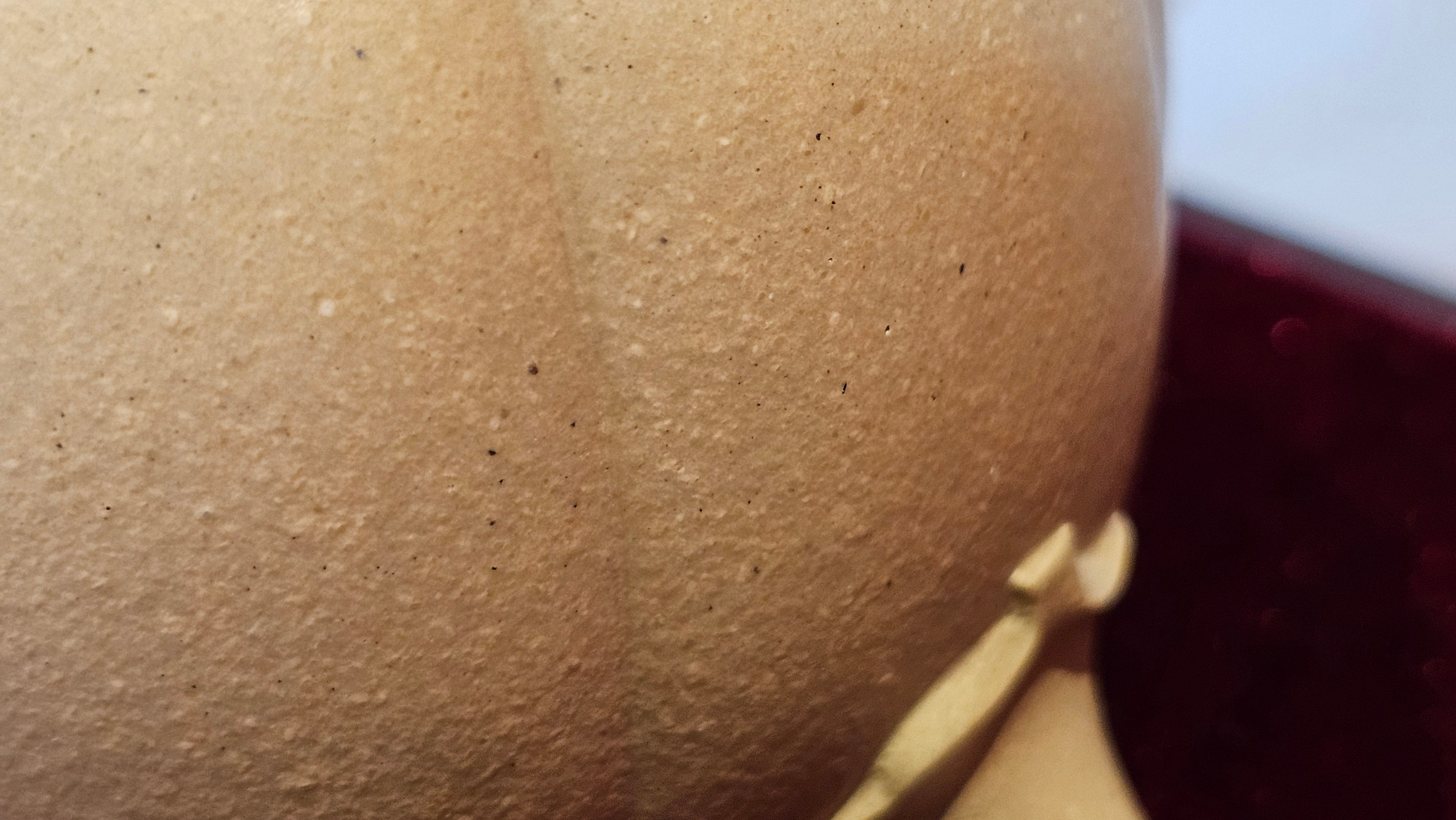 Commissioned work for Ms S.Muller: ZiSha work《甜瓜》"Tian Gua" 210ml, made with Cao Family's 100% BenShan LüNi 本山绿泥, crafted by L4 Assoc Master Artist Zhang Ke 助理工艺美术师, 张轲 ~ COMPLETED and CONGRATULATIONS to Ms S.Muller, Velden! The Netherlands🇳🇱.