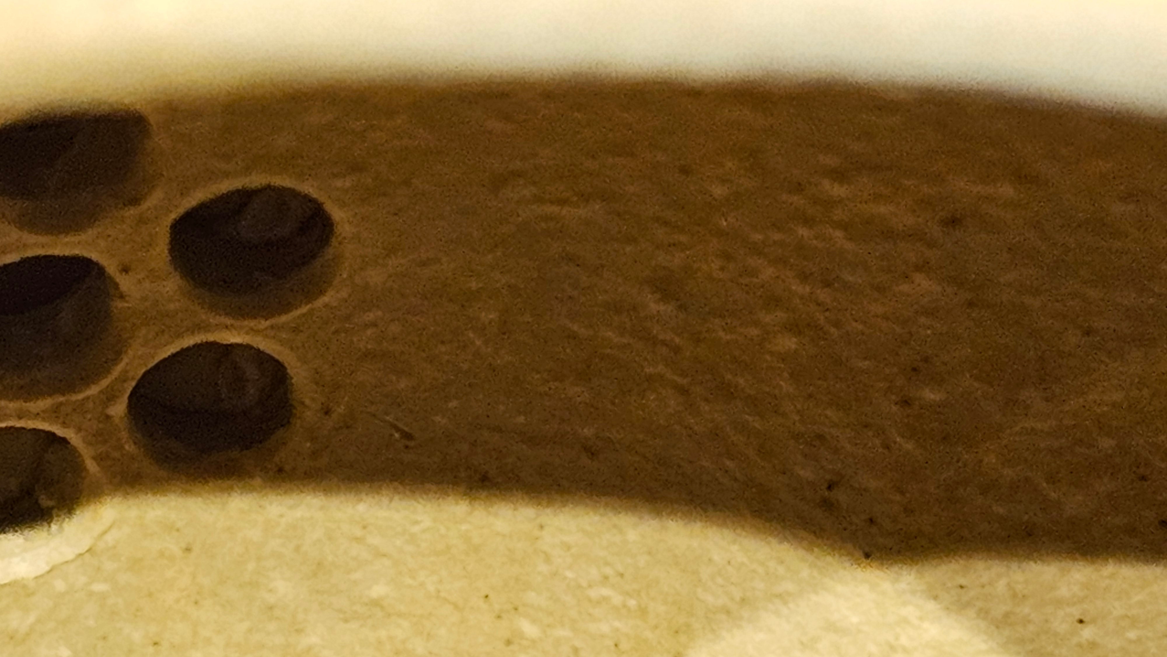 Commissioned work for Ms S.Muller: ZiSha work《甜瓜》"Tian Gua" 210ml, made with Cao Family's 100% BenShan LüNi 本山绿泥, crafted by L4 Assoc Master Artist Zhang Ke 助理工艺美术师, 张轲 ~ COMPLETED and CONGRATULATIONS to Ms S.Muller, Velden! The Netherlands🇳🇱.