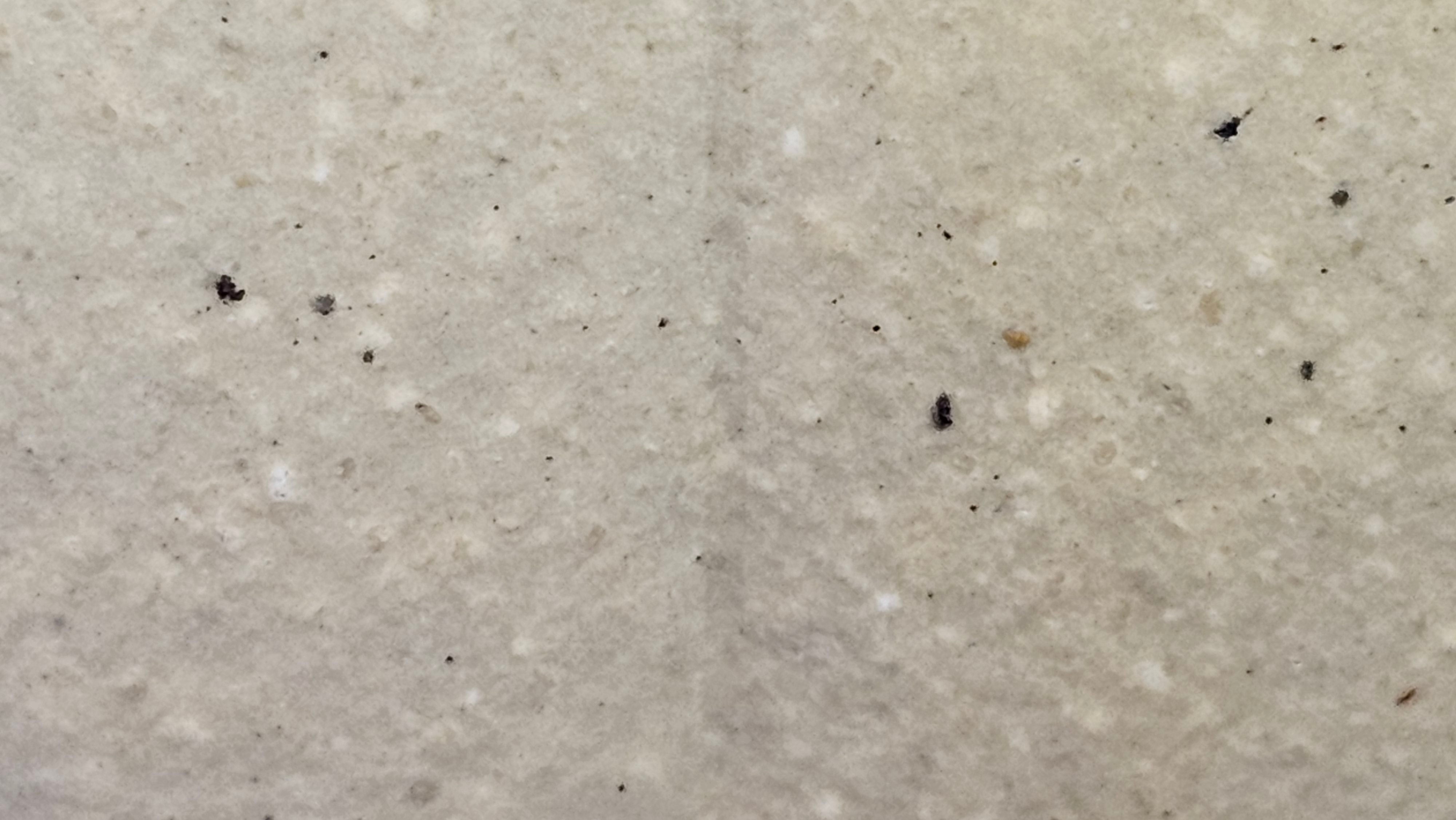 Commissioned work for Ms S.Muller: ZiSha work《甜瓜》"Tian Gua" 210ml, made with Cao Family's 100% BenShan LüNi 本山绿泥, crafted by L4 Assoc Master Artist Zhang Ke 助理工艺美术师, 张轲 ~ COMPLETED and CONGRATULATIONS to Ms S.Muller, Velden! The Netherlands🇳🇱.