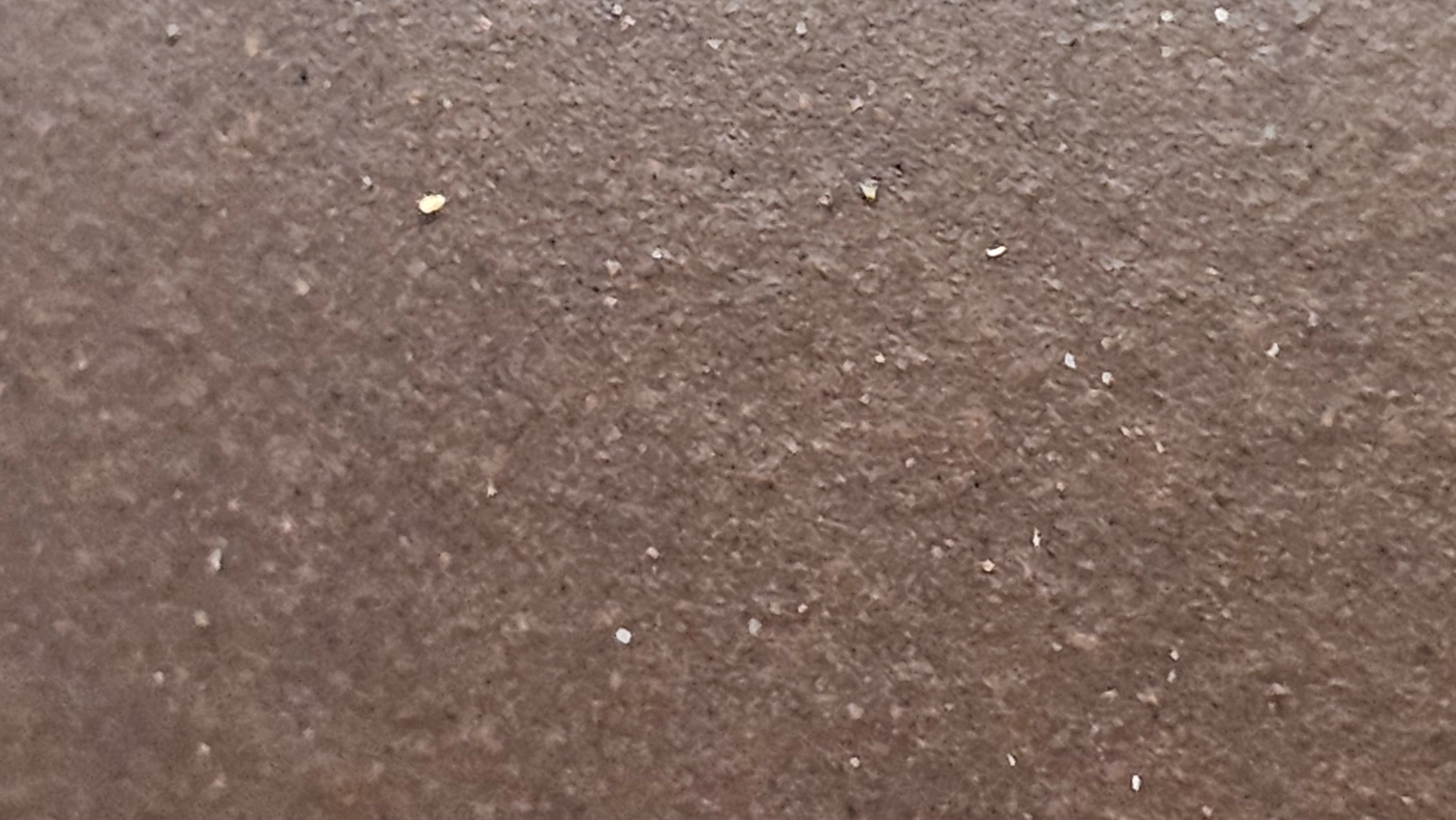 《鸣远四方》"Ming Yuan Si Fang", 348.3ml, Di Cao Qing Zi Ni, by L2A Senior Consummate Artist Yuan Hui 高级振兴技艺师兼高级工艺美术师～袁辉 ~ Congratulations to Mr B.I.! 1718hrs 3rd Oct 2025, St. Charles! IL!