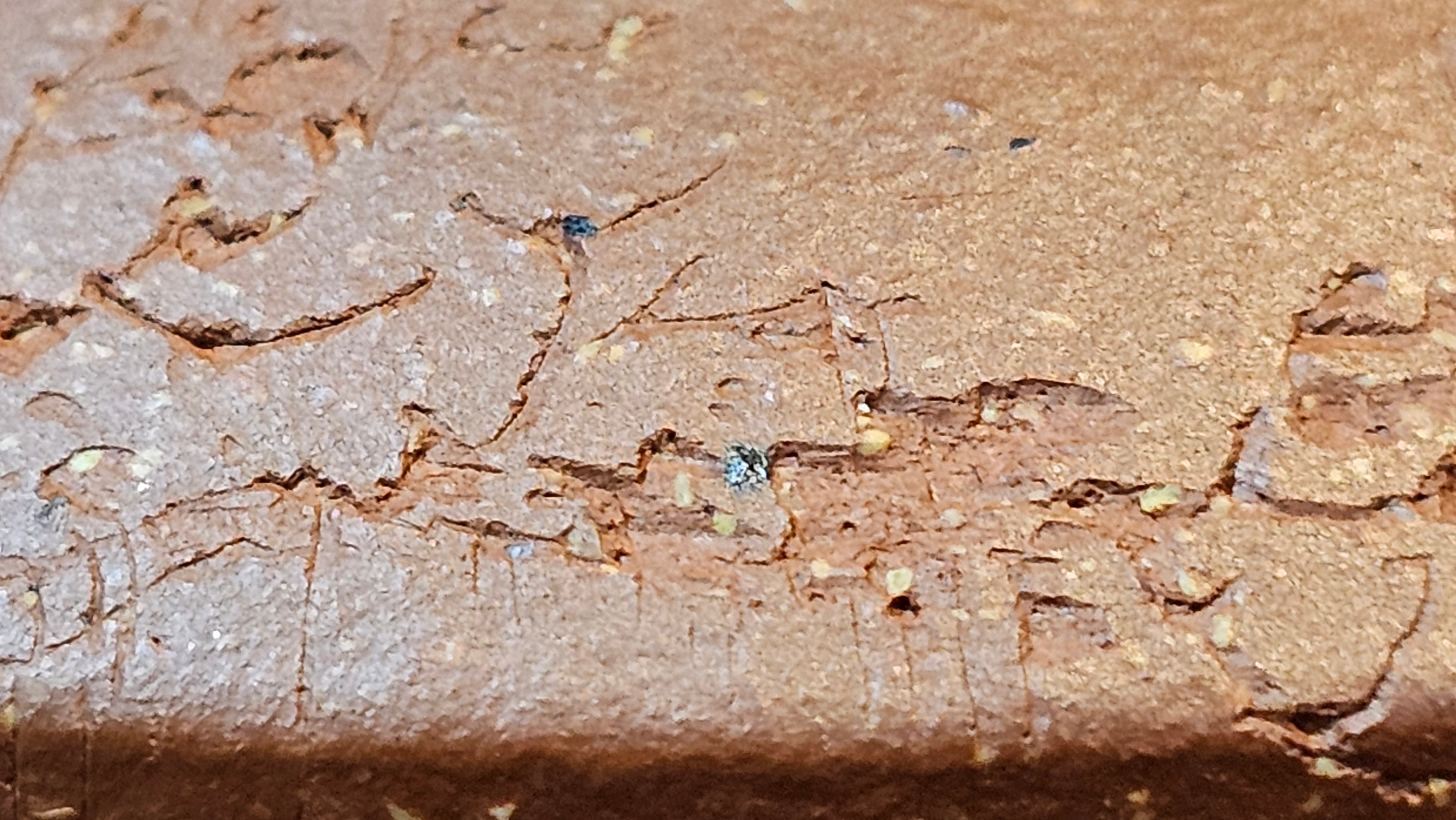 Zhou Pan《周盘》, 167.9ml, Hong Jiang Po Ni 红降坡泥, by Craftsman Zhu Shu 朱舒!~Engraving of Bamboos and Verse by Craftsman Mu Shan 牧山 ~ Congratulations to Mr B.H.S.! 1146hrs 7th Oct 2025, Jakarta! Indonesia🇮🇩!