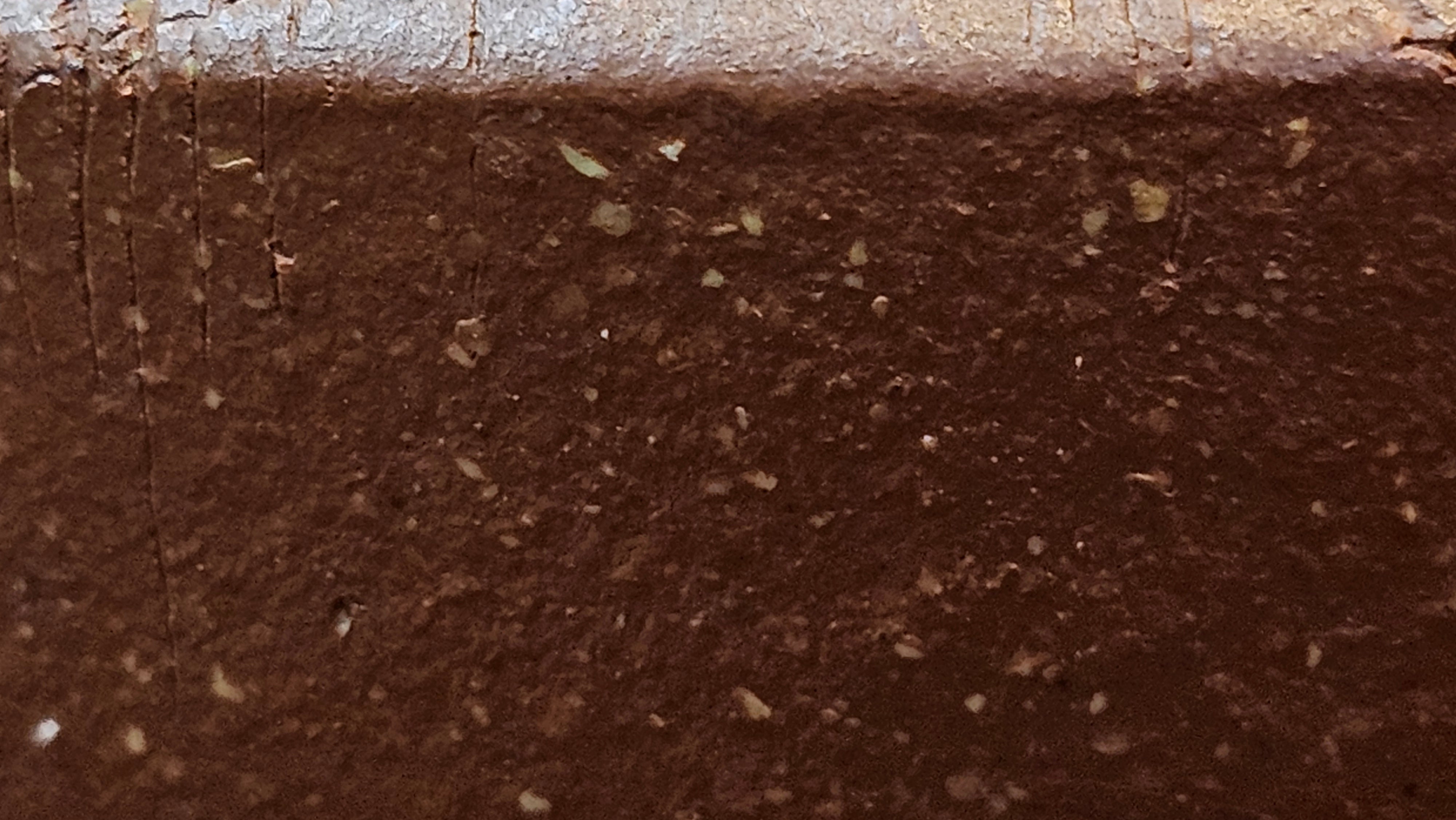 Zhou Pan《周盘》, 167.9ml, Hong Jiang Po Ni 红降坡泥, by Craftsman Zhu Shu 朱舒!~Engraving of Bamboos and Verse by Craftsman Mu Shan 牧山 ~ Congratulations to Mr B.H.S.! 1146hrs 7th Oct 2025, Jakarta! Indonesia🇮🇩!