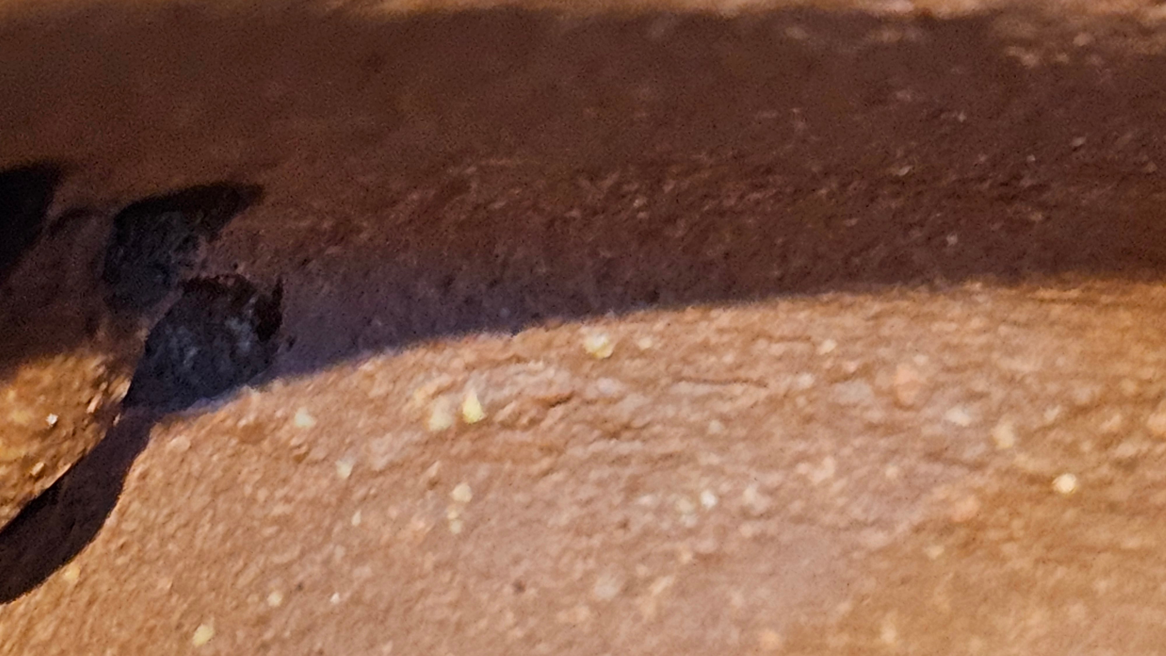 Zhou Pan《周盘》, 167.9ml, Hong Jiang Po Ni 红降坡泥, by Craftsman Zhu Shu 朱舒!~Engraving of Bamboos and Verse by Craftsman Mu Shan 牧山 ~ Congratulations to Mr B.H.S.! 1146hrs 7th Oct 2025, Jakarta! Indonesia🇮🇩!