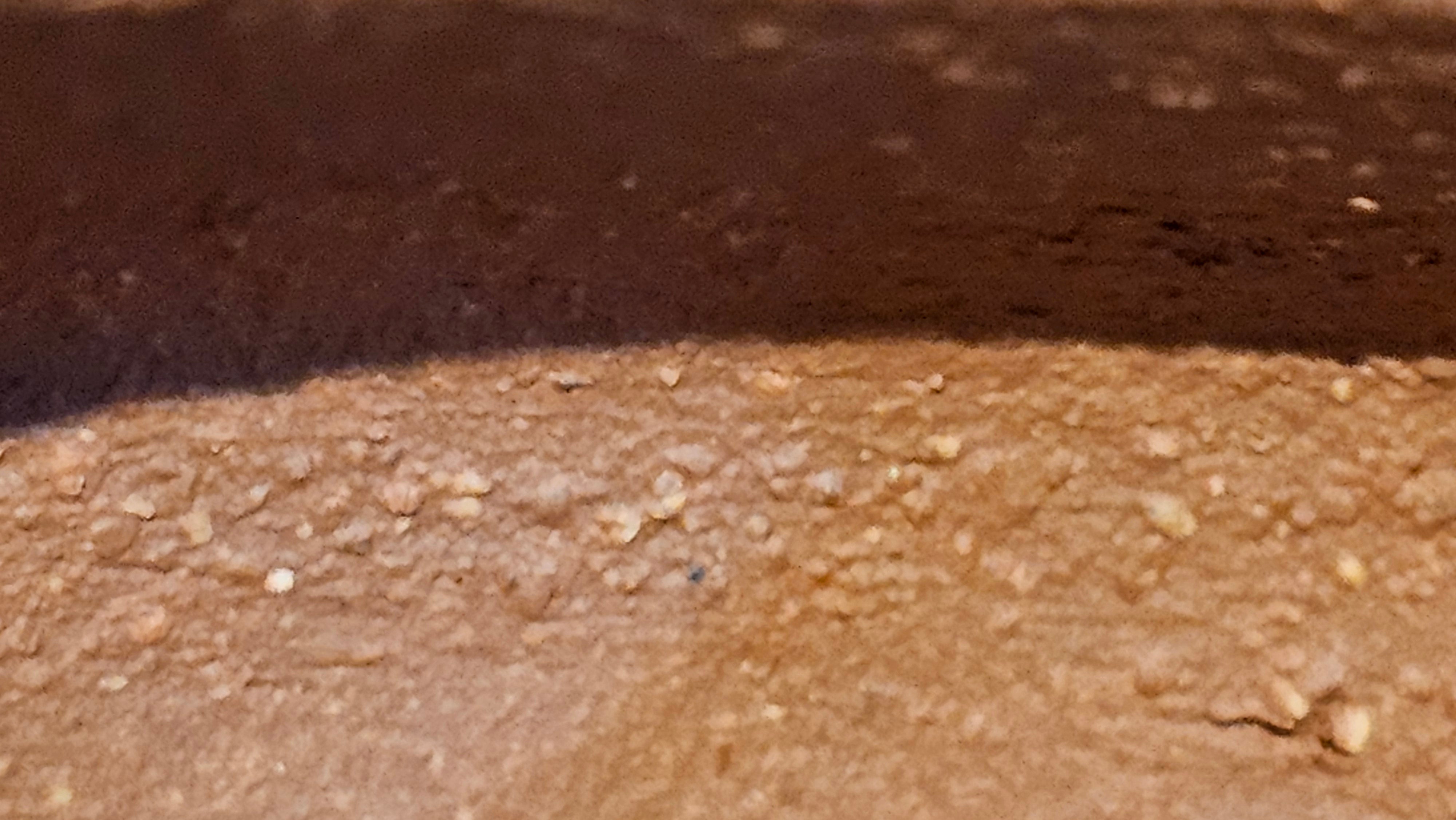 Zhou Pan《周盘》, 167.9ml, Hong Jiang Po Ni 红降坡泥, by Craftsman Zhu Shu 朱舒!~Engraving of Bamboos and Verse by Craftsman Mu Shan 牧山 ~ Congratulations to Mr B.H.S.! 1146hrs 7th Oct 2025, Jakarta! Indonesia🇮🇩!