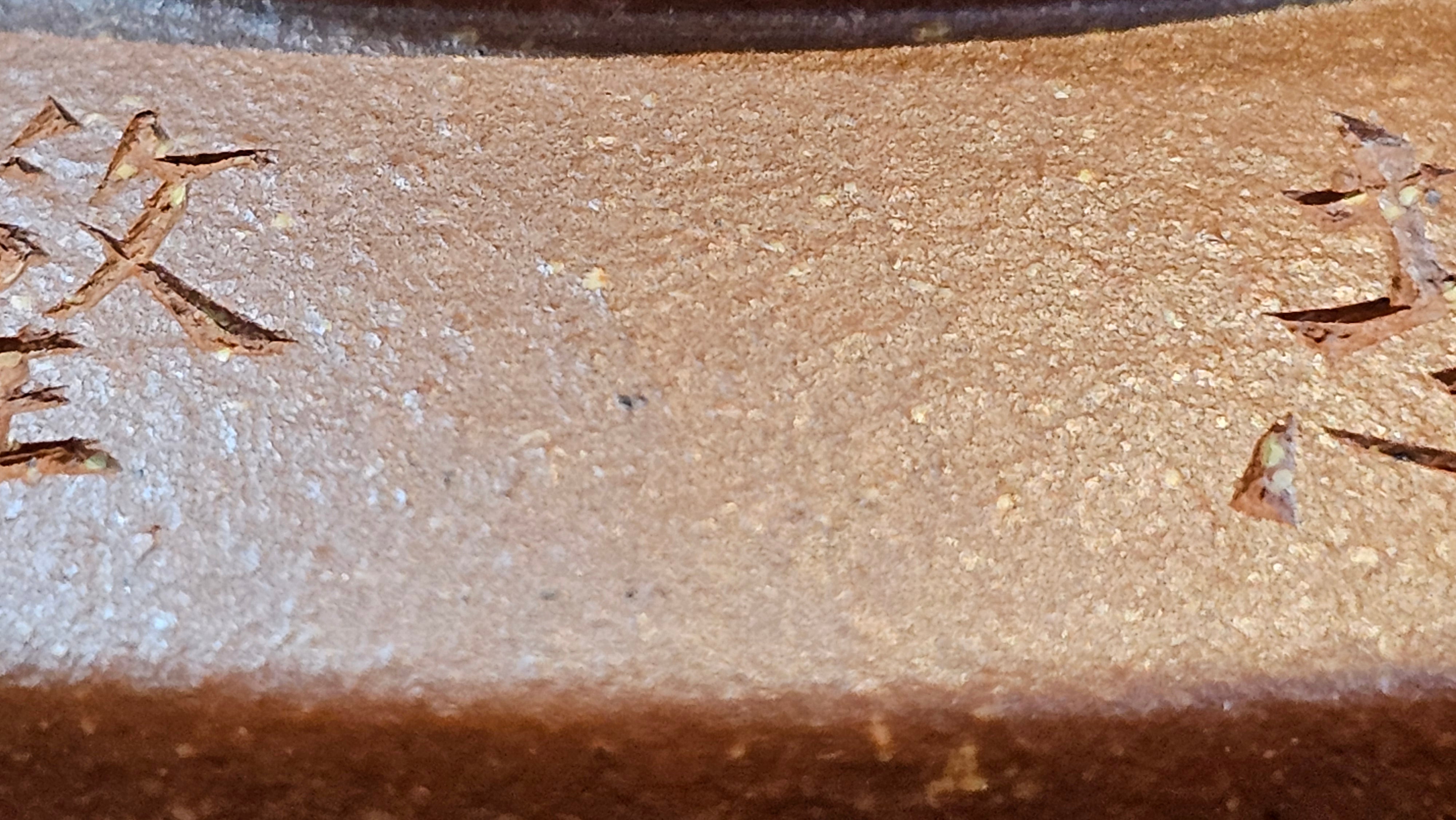 Zhou Pan《周盘》, 167.3ml, Hong Jiang Po Ni 红降坡泥, by Craftsman Zhu Shu 朱舒!~Engraving of Bamboos and Verse by Craftsman Mu Shan 牧山 ~ Congratulations!to Dr L.L, 1520hrs 9th Oct 2025, Ventura, CA!