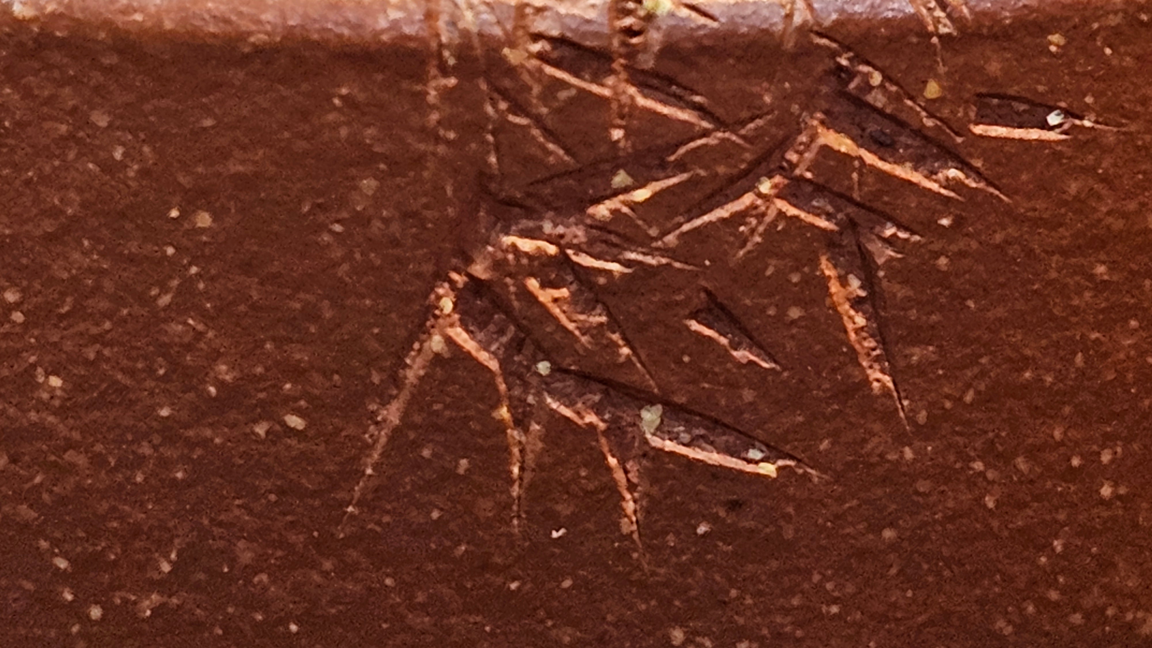 Zhou Pan《周盘》, 167.3ml, Hong Jiang Po Ni 红降坡泥, by Craftsman Zhu Shu 朱舒!~Engraving of Bamboos and Verse by Craftsman Mu Shan 牧山 ~ Congratulations!to Dr L.L, 1520hrs 9th Oct 2025, Ventura, CA!