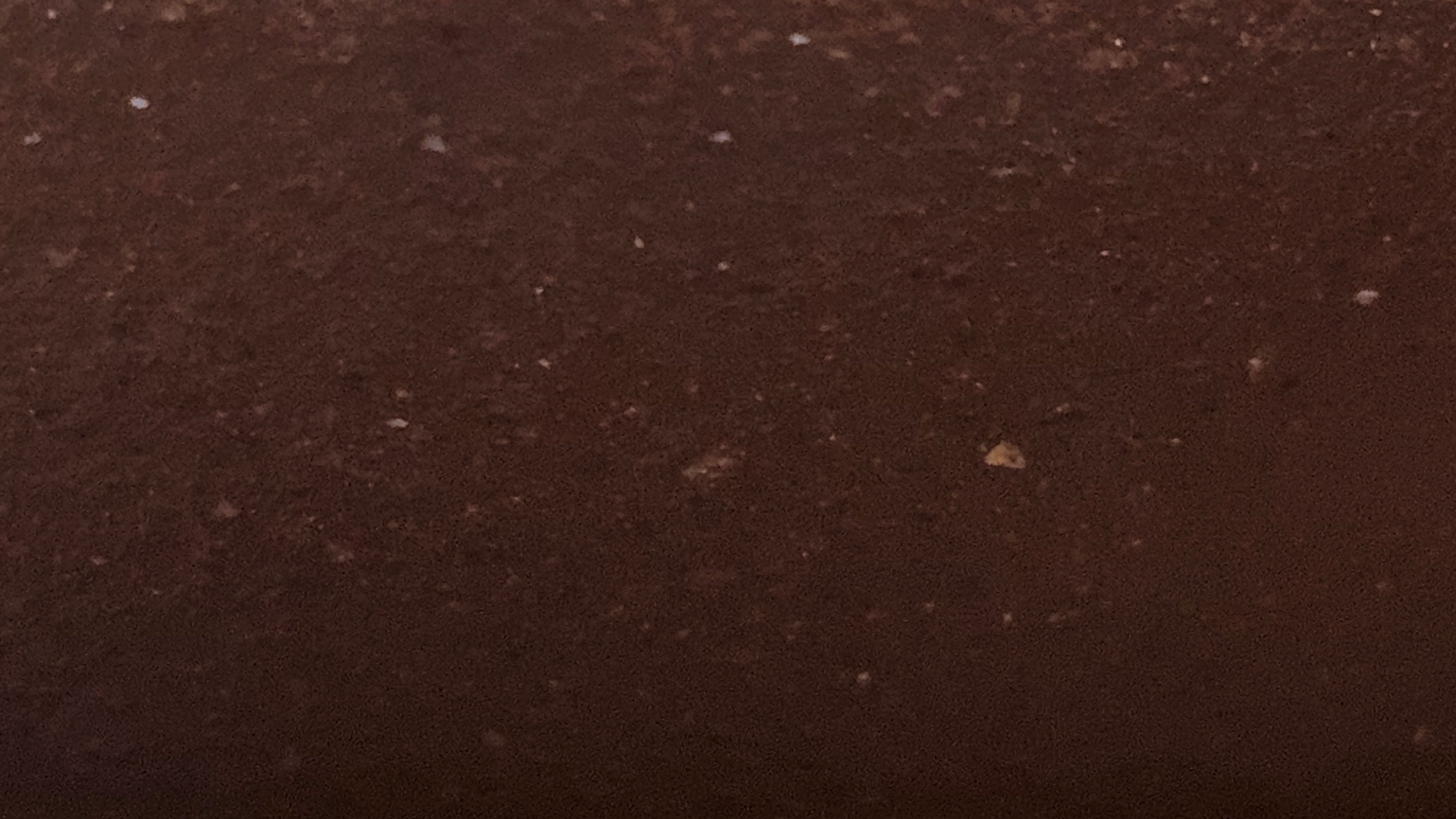 Fang Gu 仿古, 214.3ml, Di Cao Qing Zi Ni 底槽青紫泥, by Craftsman Chen Fa Chu 陈法初 ~!Congratulations to Mr K.C., 0043hrs 25th Oct 2025, Anchor Point! AK!