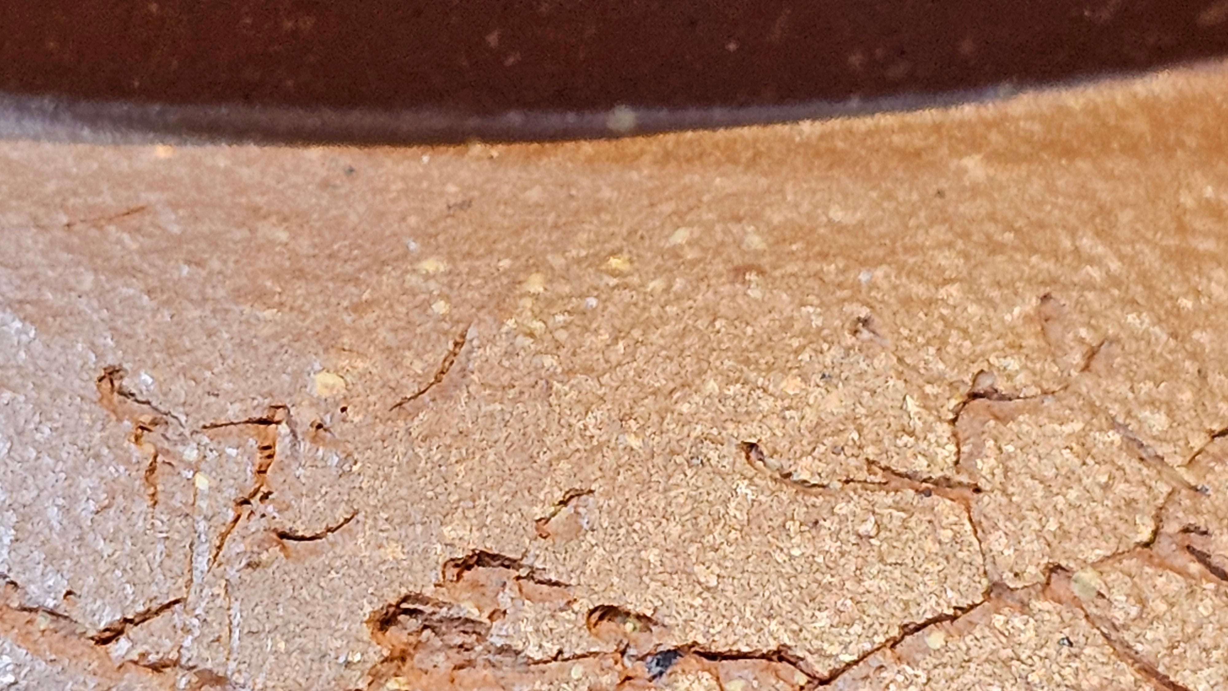 Zhou Pan《周盘》, 166.8ml, Hong Jiang Po Ni 红降坡泥, by Craftsman Zhu Shu 朱舒!~Engraving of Bamboos and Verse by Craftsman Mu Shan 牧山 ~!Congratulations!to Mr C.B., 0117hrs 13th Oct 2025. Inglewood! CA.