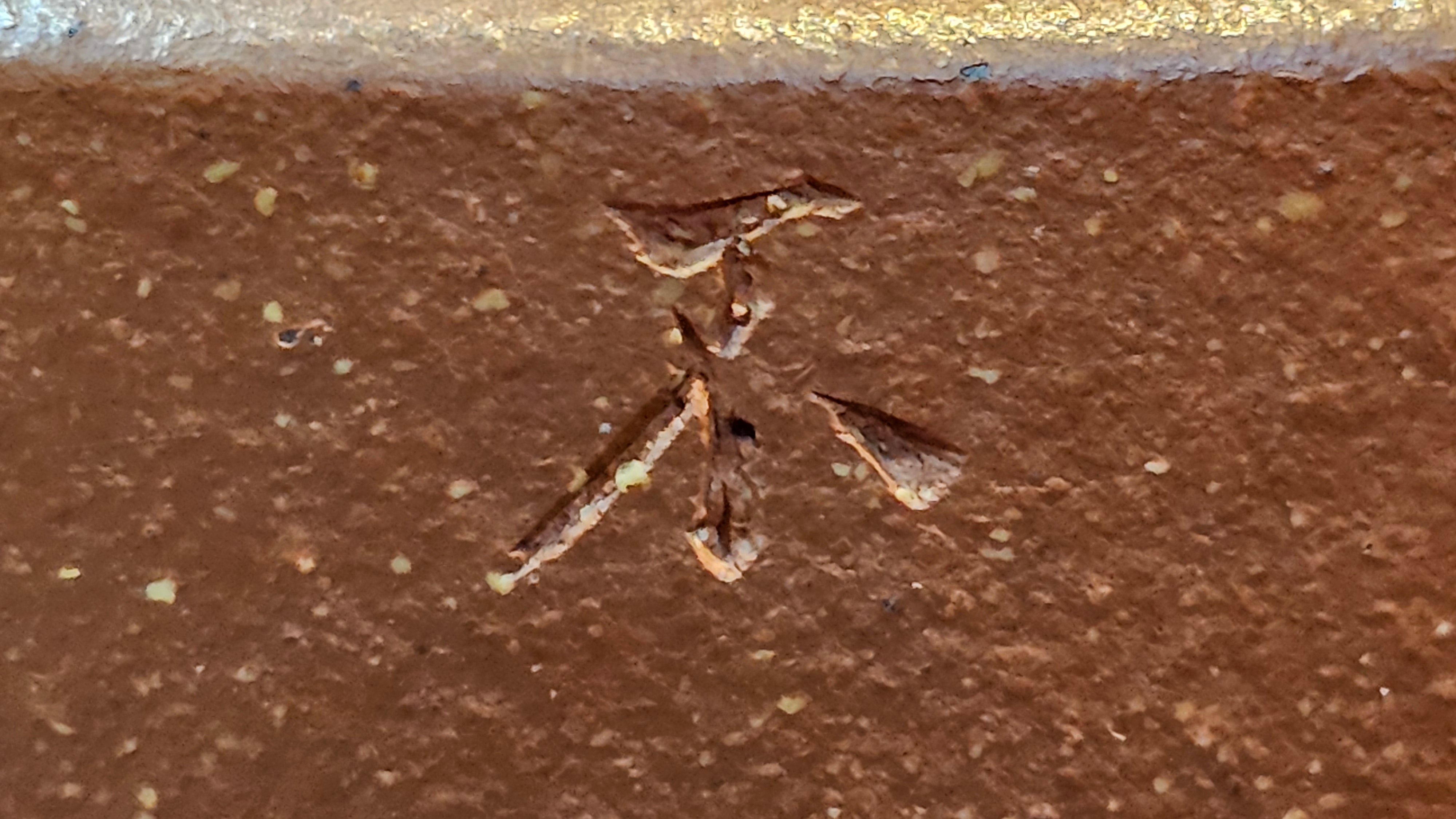 Zhou Pan《周盘》, 166.8ml, Hong Jiang Po Ni 红降坡泥, by Craftsman Zhu Shu 朱舒!~Engraving of Bamboos and Verse by Craftsman Mu Shan 牧山 ~!Congratulations!to Mr C.B., 0117hrs 13th Oct 2025. Inglewood! CA.