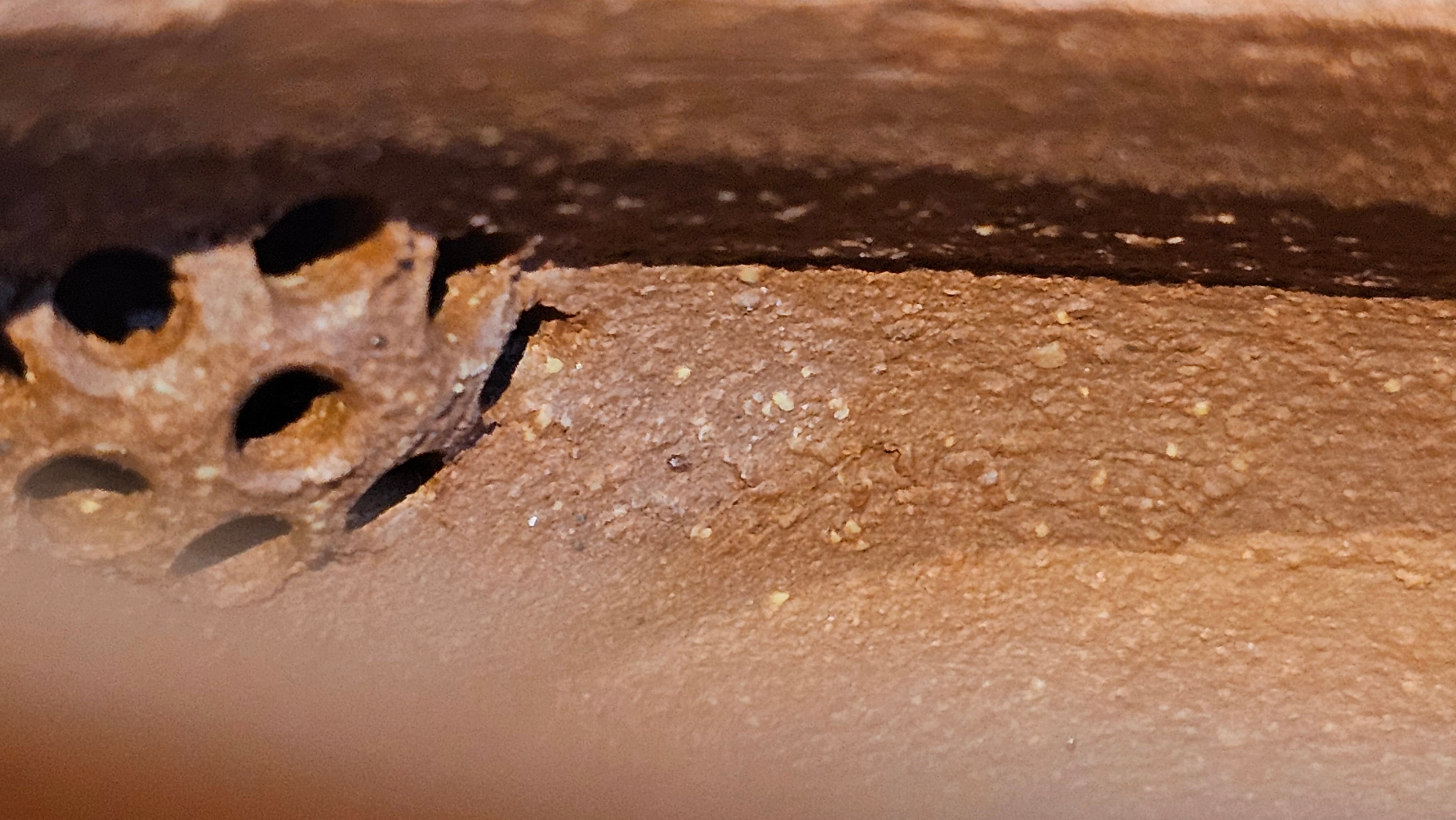 Zhou Pan《周盘》, 166.8ml, Hong Jiang Po Ni 红降坡泥, by Craftsman Zhu Shu 朱舒!~Engraving of Bamboos and Verse by Craftsman Mu Shan 牧山 ~!Congratulations!to Mr C.B., 0117hrs 13th Oct 2025. Inglewood! CA.