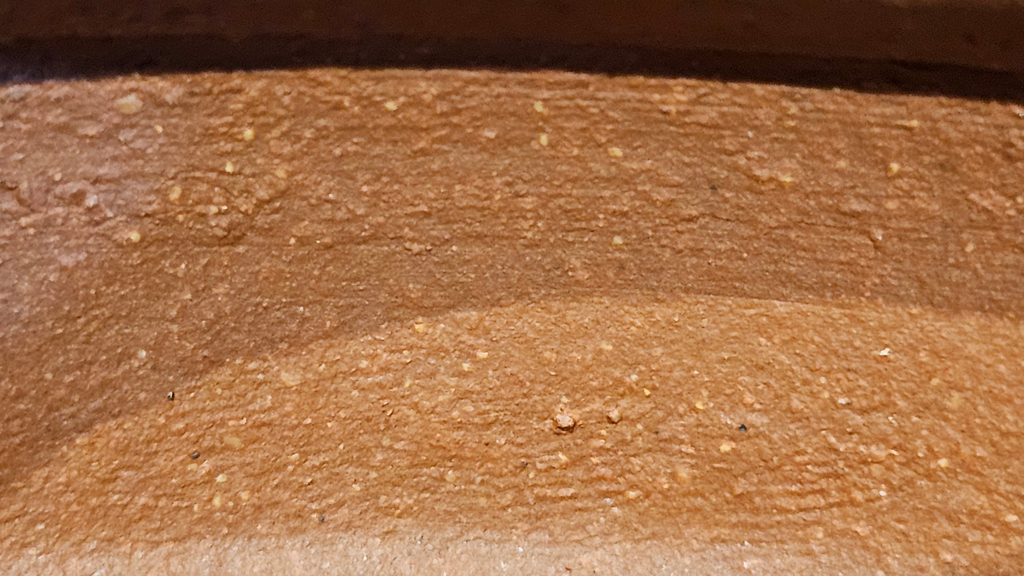 Zhou Pan《周盘》, 166.8ml, Hong Jiang Po Ni 红降坡泥, by Craftsman Zhu Shu 朱舒!~Engraving of Bamboos and Verse by Craftsman Mu Shan 牧山 ~!Congratulations!to Mr C.B., 0117hrs 13th Oct 2025. Inglewood! CA.