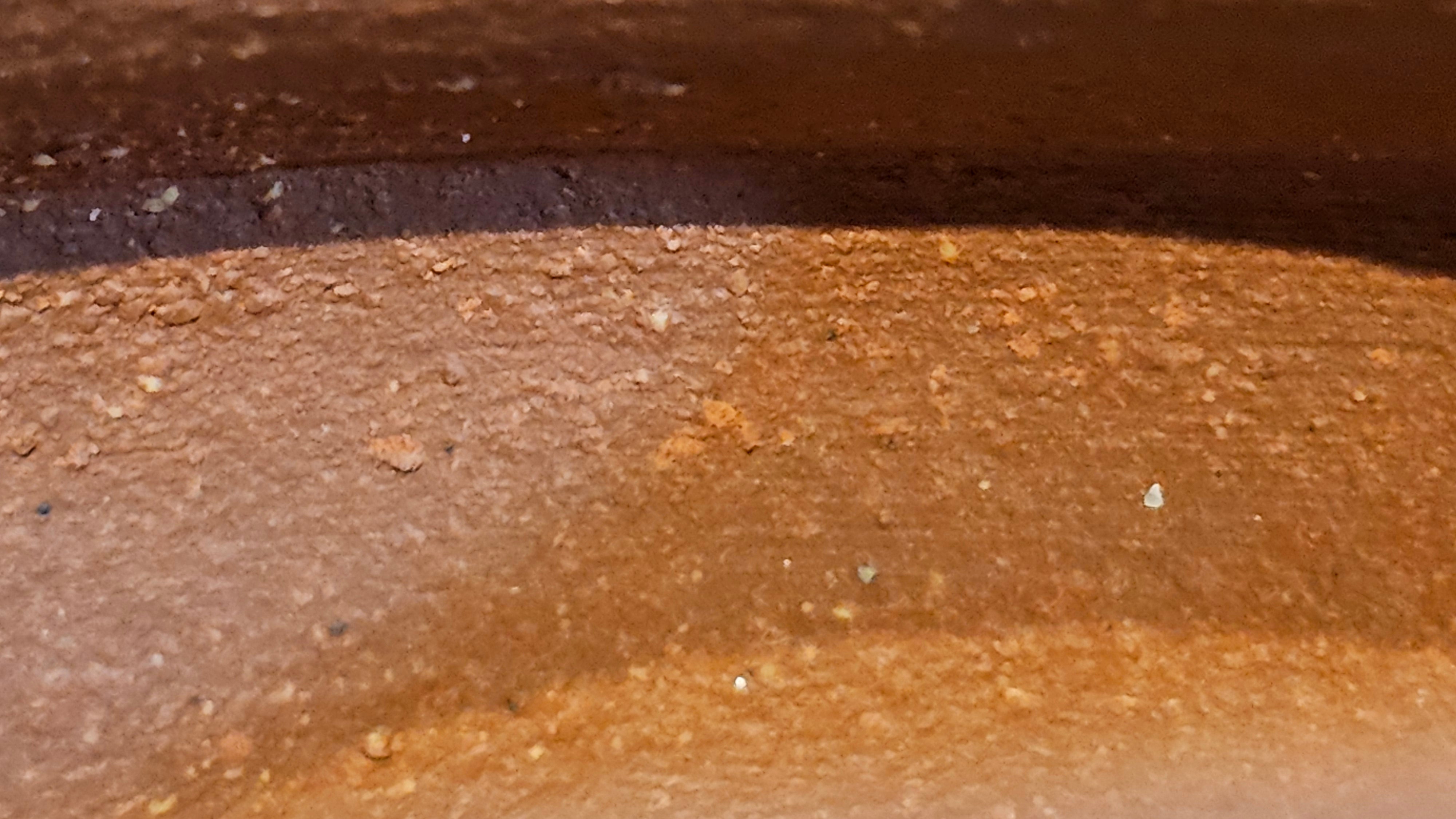 Zhou Pan《周盘》, 166.8ml, Hong Jiang Po Ni 红降坡泥, by Craftsman Zhu Shu 朱舒!~Engraving of Bamboos and Verse by Craftsman Mu Shan 牧山 ~!Congratulations!to Mr C.B., 0117hrs 13th Oct 2025. Inglewood! CA.