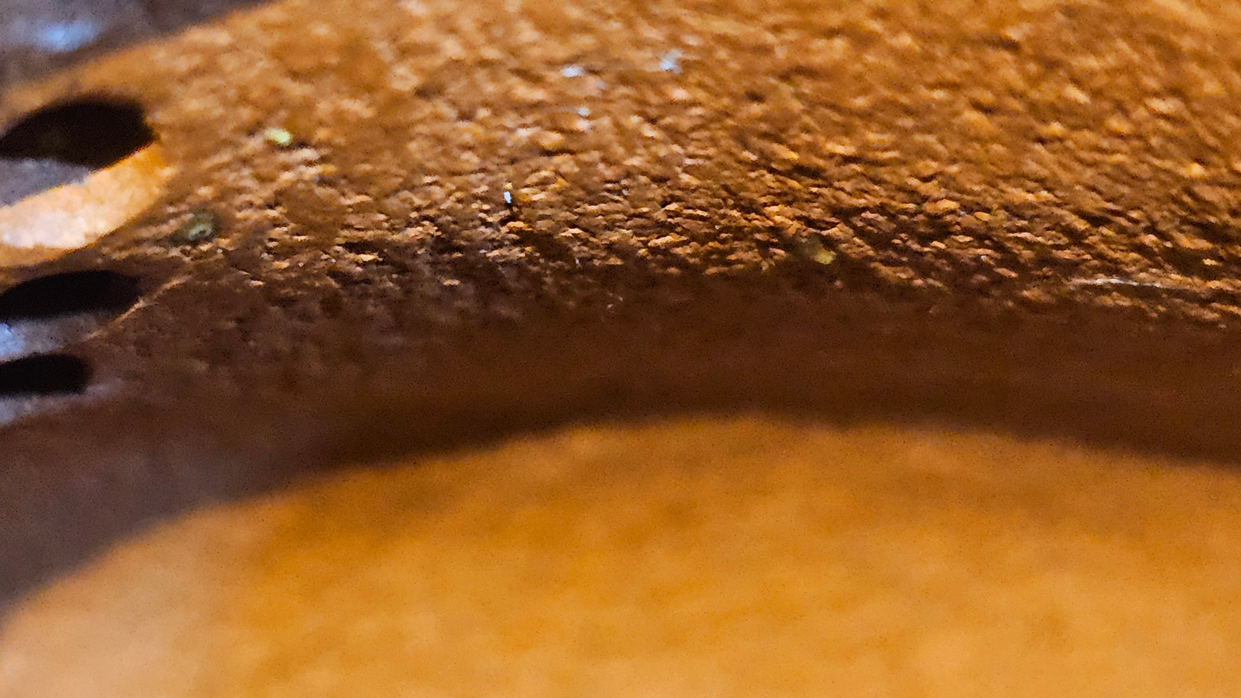 Le Rong 乐荣, 123.0ml, rare Zhu Sha 朱砂 (highest granularity form of ZhuNi), by Craftsman Gu Xiao Ming 顾小明 ~ Congratulations!to Mr S.L.! 2041hrs 13th Oct 2025, Copenhagen, Denmark🇩🇰!