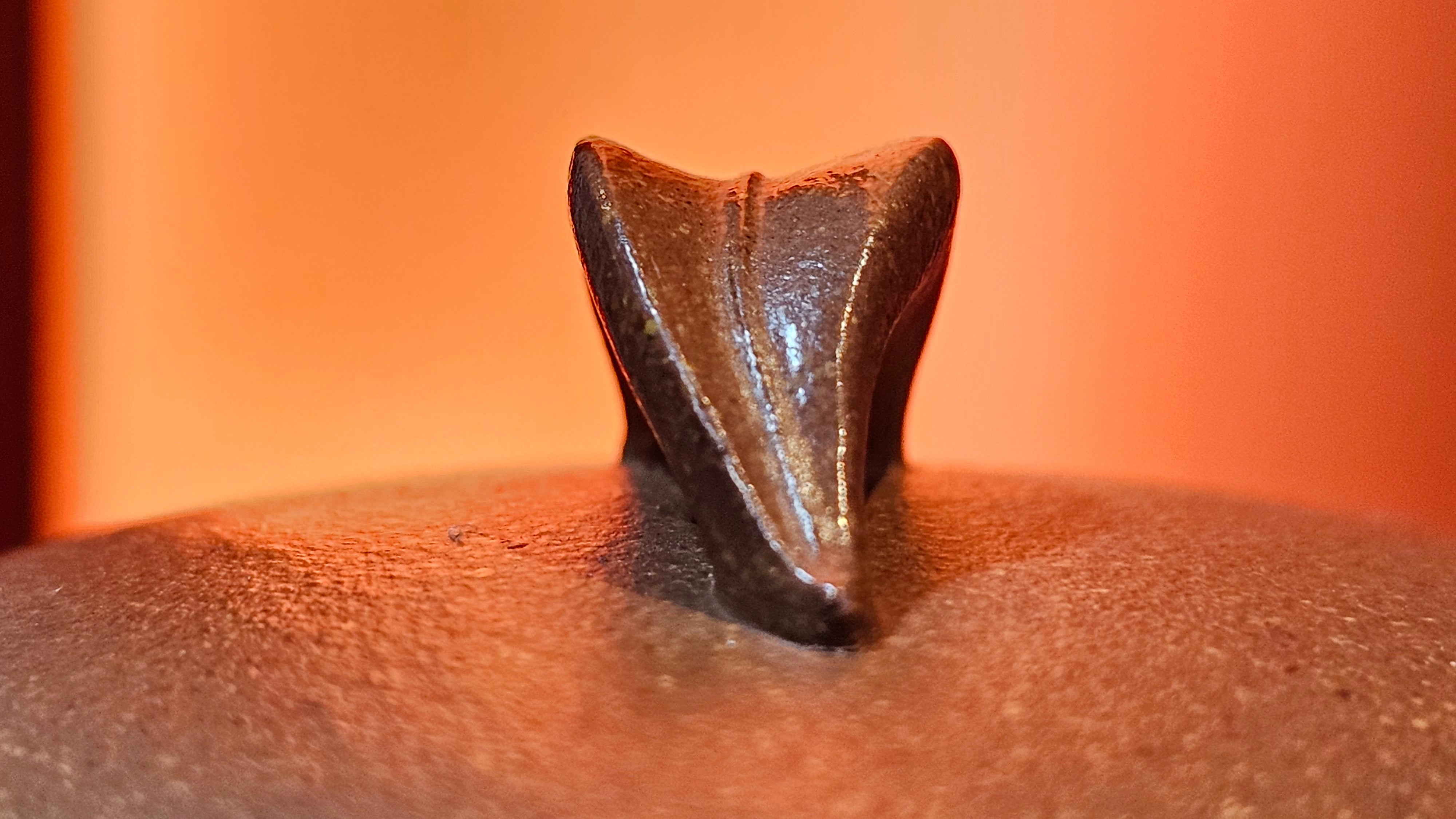 《一叶知秋》Yi Ye Zhi Qiu ~ "The Autumn Leaf", 166.5ml, Bao Shan Duan Ni 宝山段泥, by our Craftsman Zhang Huan 张欢, Bamboo and Calligraphy Engraving by Craftsman Yi Cheng 逸成 ~!Congratulations to Mr A.A.! 1006hrs 15th Oct 2025, Port Franks! Canada🇨🇦.