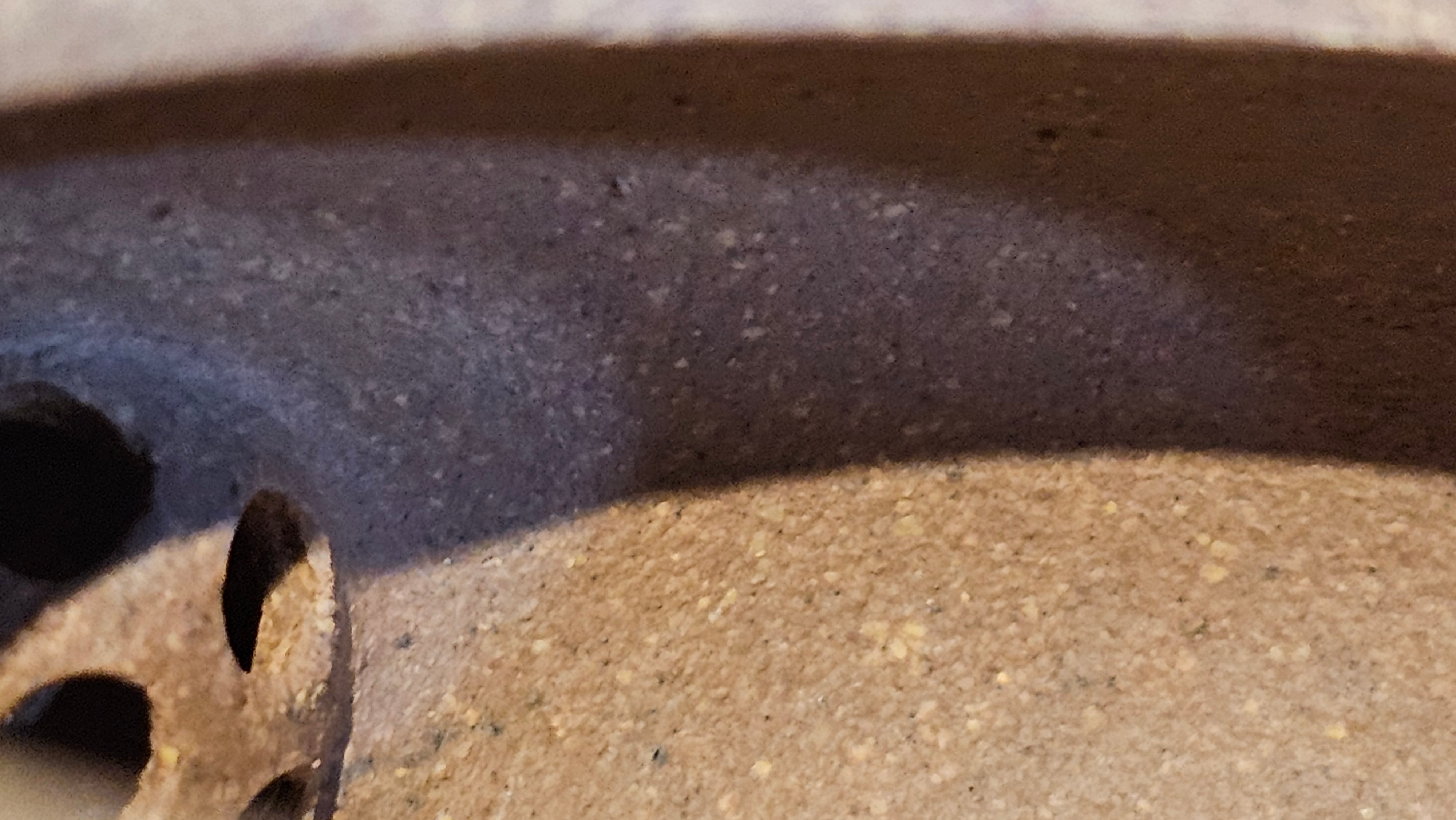 《一叶知秋》Yi Ye Zhi Qiu ~ "The Autumn Leaf", 166.5ml, Bao Shan Duan Ni 宝山段泥, by our Craftsman Zhang Huan 张欢, Bamboo and Calligraphy Engraving by Craftsman Yi Cheng 逸成 ~!Congratulations to Mr A.A.! 1006hrs 15th Oct 2025, Port Franks! Canada🇨🇦.