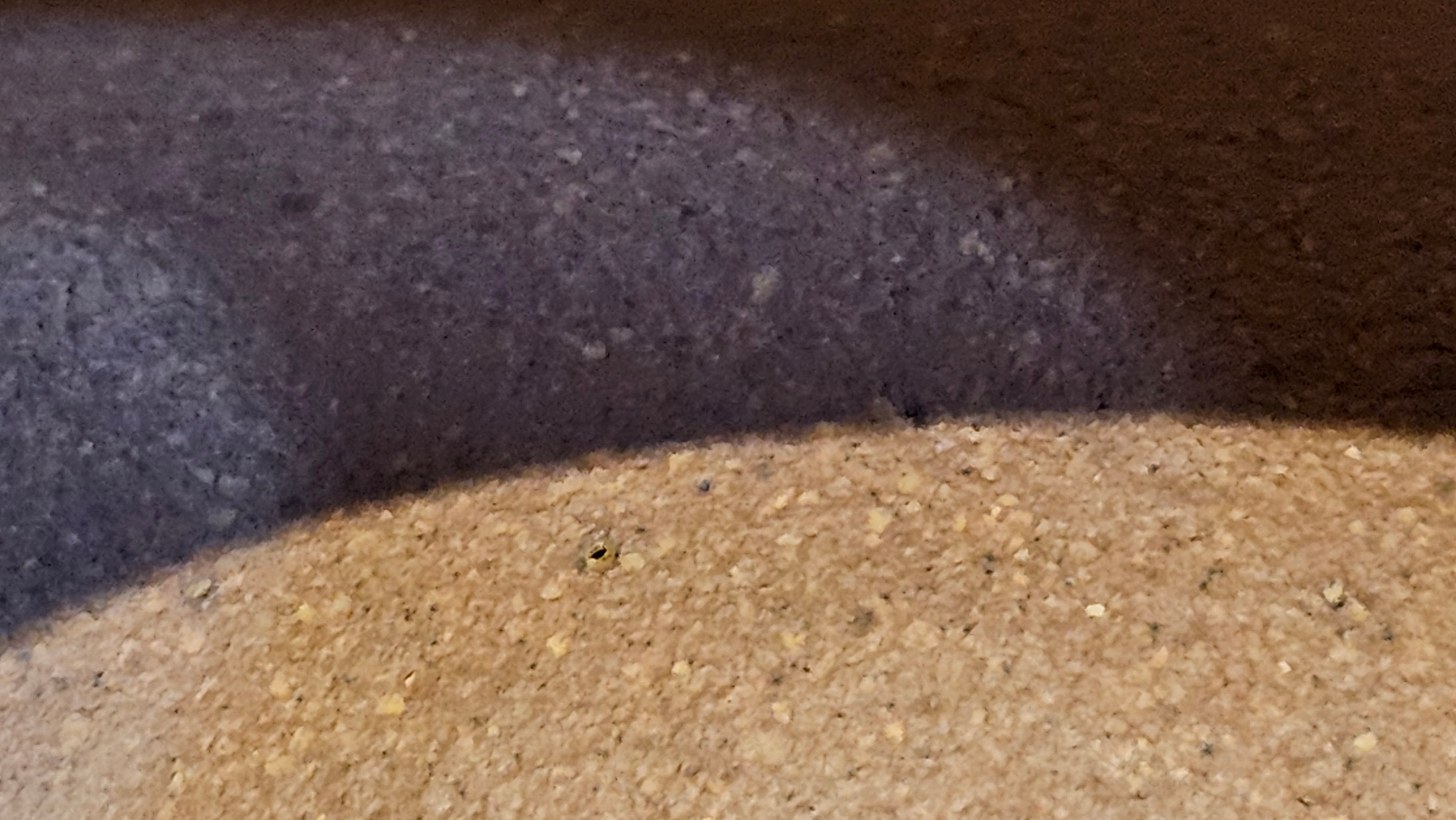 《一叶知秋》Yi Ye Zhi Qiu ~ "The Autumn Leaf", 166.5ml, Bao Shan Duan Ni 宝山段泥, by our Craftsman Zhang Huan 张欢, Bamboo and Calligraphy Engraving by Craftsman Yi Cheng 逸成 ~!Congratulations to Mr A.A.! 1006hrs 15th Oct 2025, Port Franks! Canada🇨🇦.