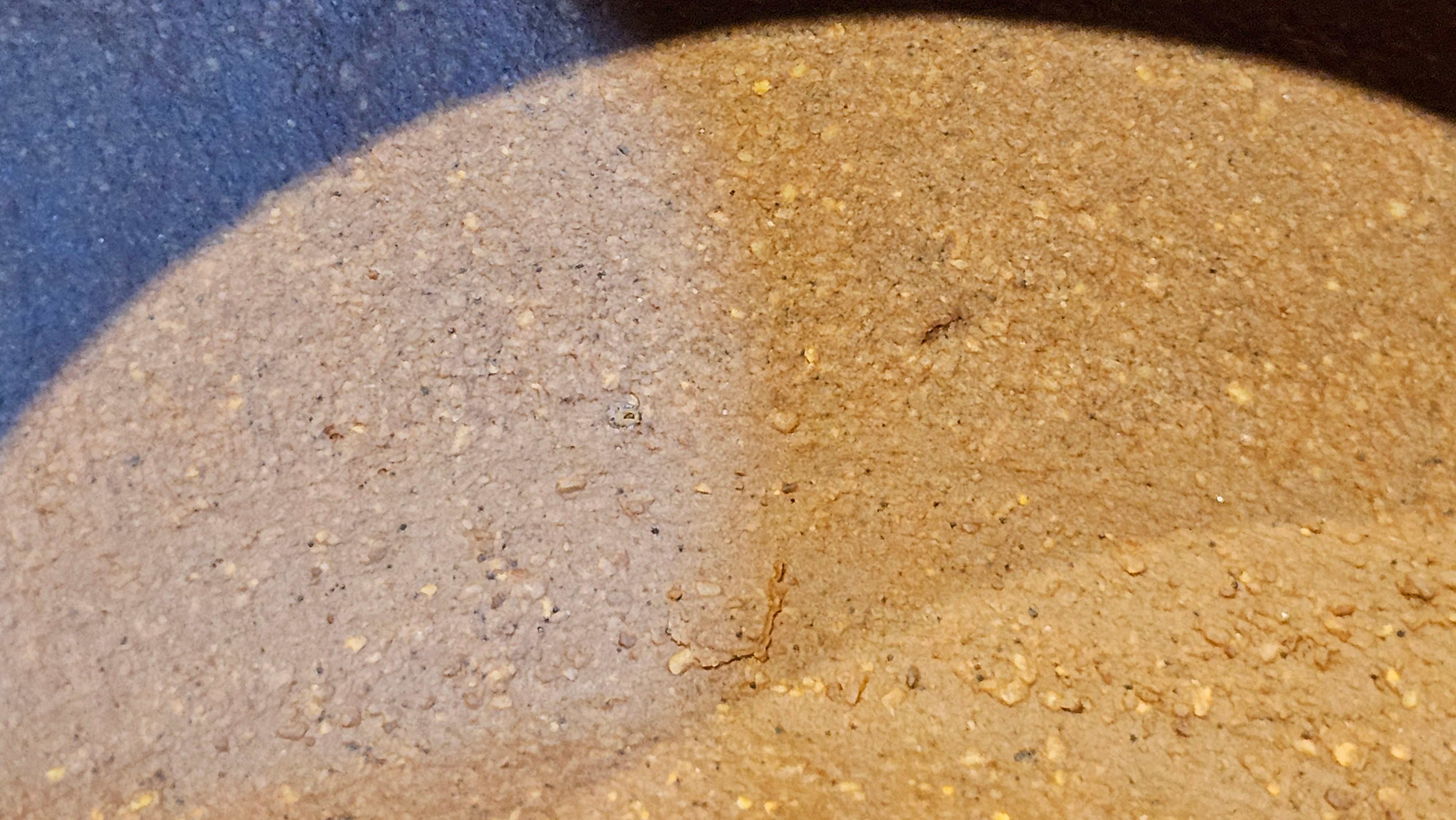 《一叶知秋》Yi Ye Zhi Qiu ~ "The Autumn Leaf", 167.7ml, Bao Shan Duan Ni 宝山段泥, by our Craftsman Zhang Huan 张欢, Bamboo and Calligraphy Engraving by Craftsman Yi Cheng 逸成 ~!Congratulations to!Ms N.C.! 0903hrs 18th Oct 2025, Los Baños, Philippines🇵🇭!