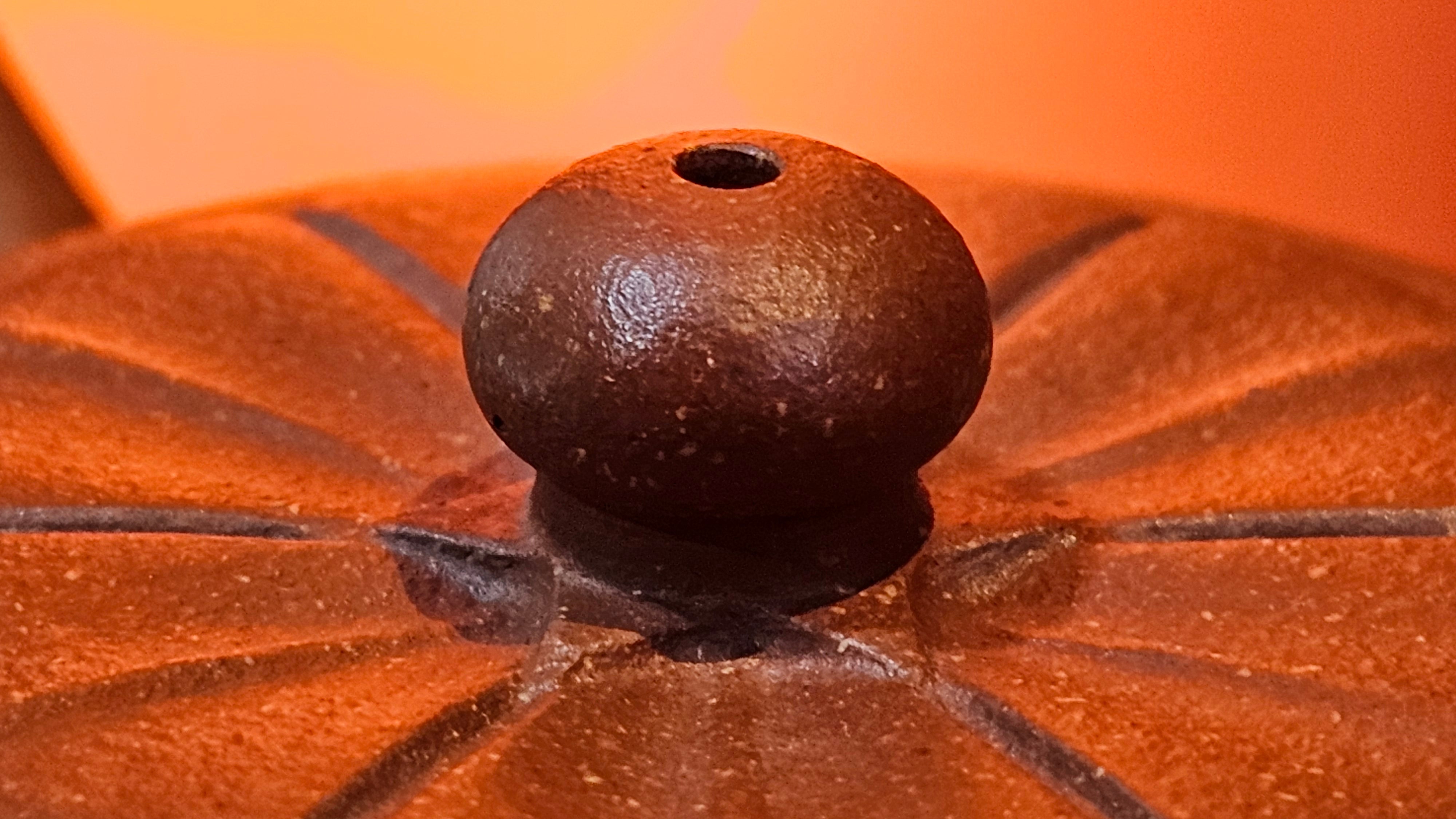 Lian Pu《莲蒲》, 163.7ml, Hong Jiang Po Ni 红降坡泥, by Craftsman Yang Pin Ting 杨聘婷 ~ Congratulations!to Ms J.C.! 1500hrs 26th Oct 2025, Los Angeles, CA!