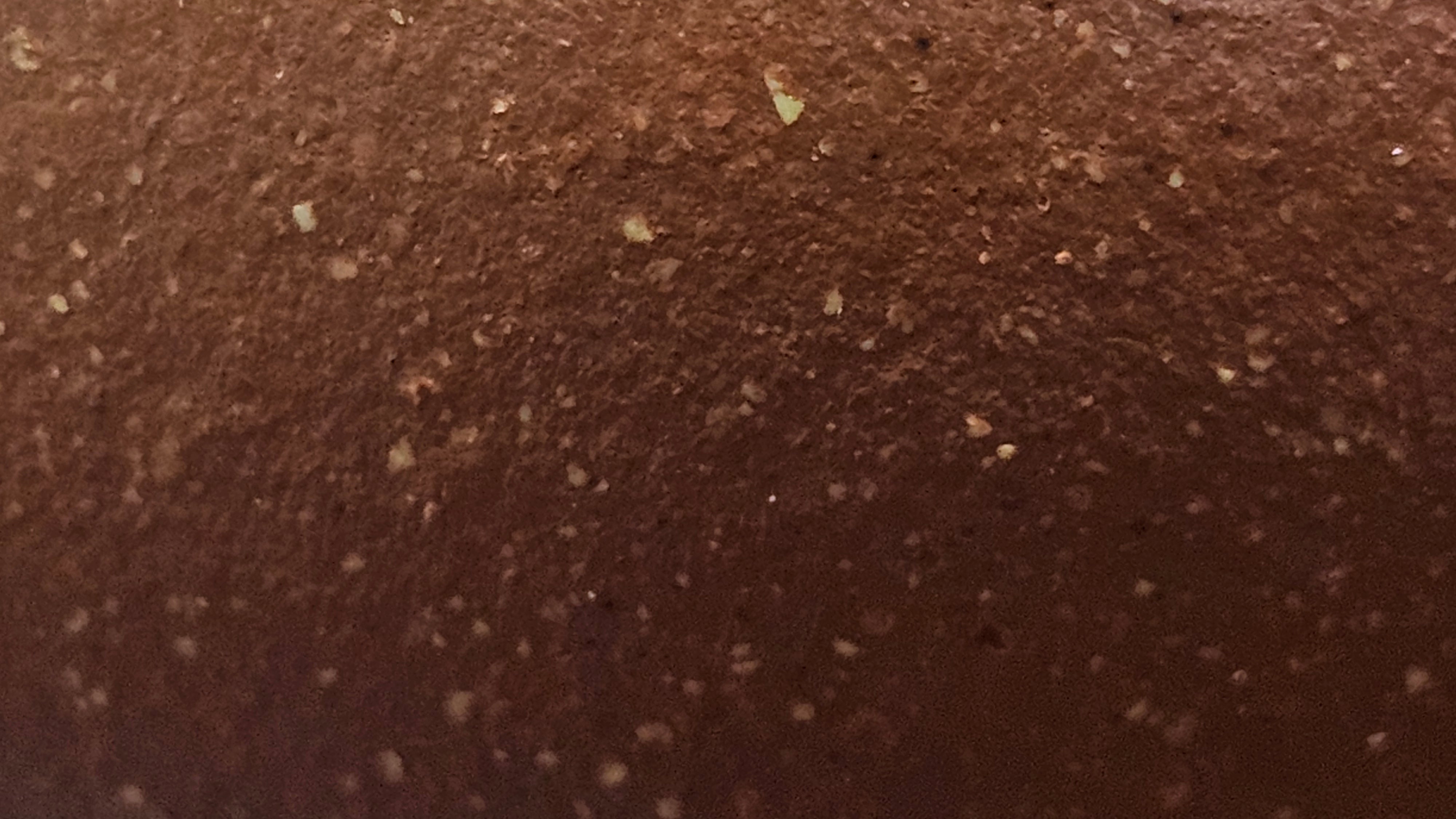 Lian Pu《莲蒲》, 163.7ml, Hong Jiang Po Ni 红降坡泥, by Craftsman Yang Pin Ting 杨聘婷 ~ Congratulations!to Ms J.C.! 1500hrs 26th Oct 2025, Los Angeles, CA!