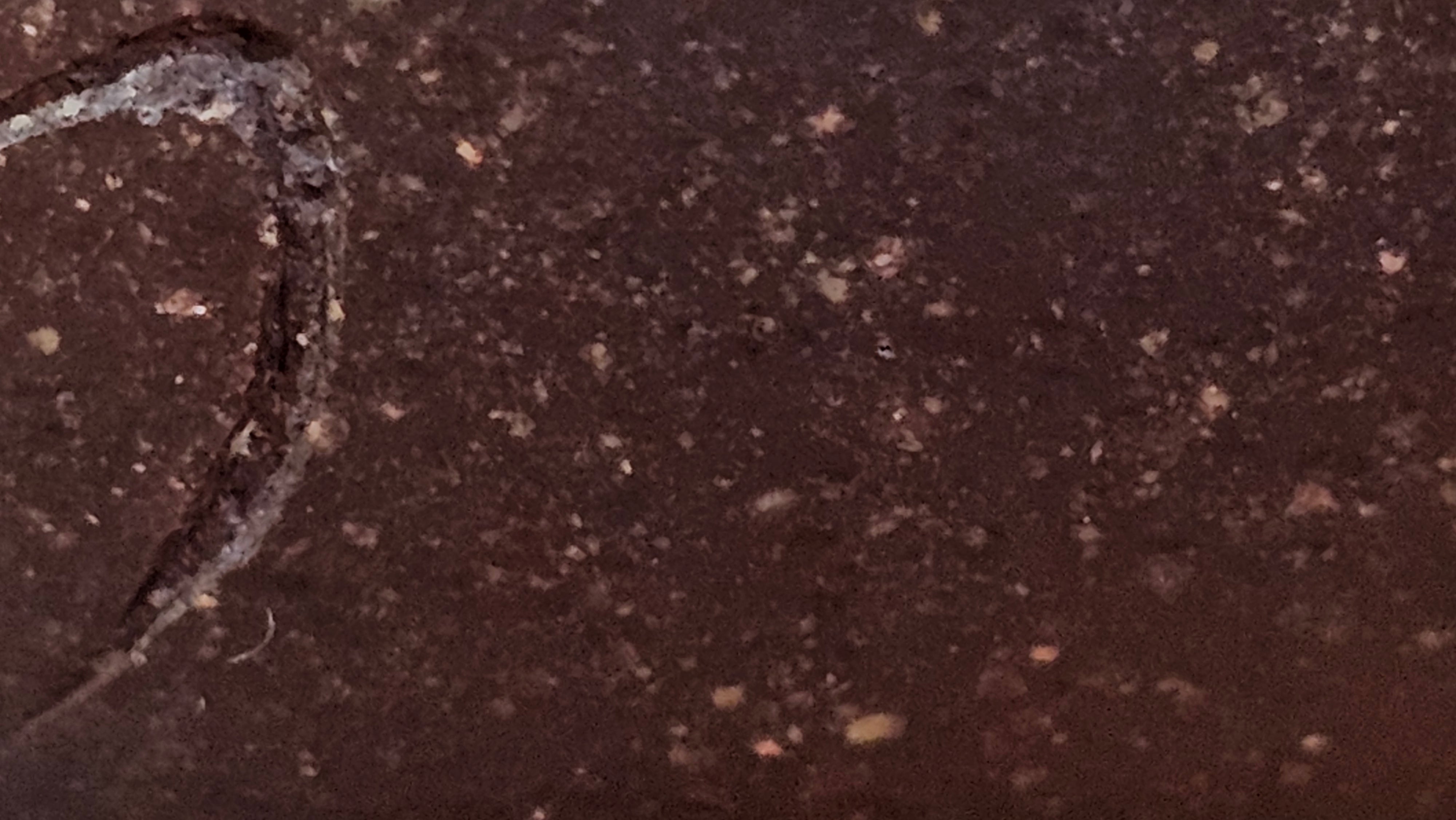 Qie Gua《茄瓜》~ "The Gourd", 153.3ml, Hei Zi Ni 黑紫泥, by our Craftsman Zhang Huan 张欢, Calligraphy and Lotus Flower Engraving by Craftsman Yi Cheng 逸成 ~ Congratulations to Mr W.K.! 1941hrs 20th Oct 2025, Austin! TX!