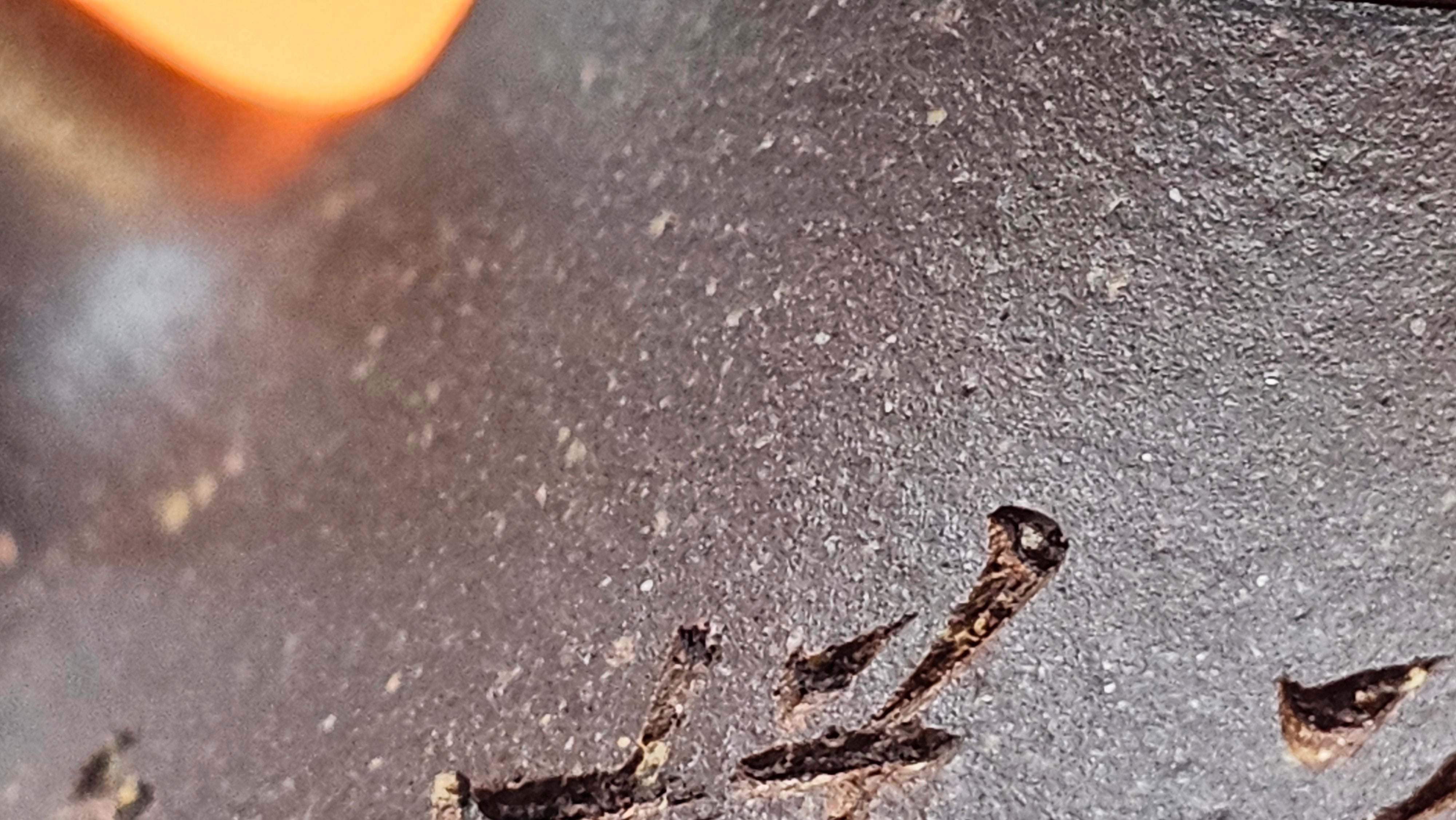 Qie Gua《茄瓜》~ "The Gourd", 153.3ml, Hei Zi Ni 黑紫泥, by our Craftsman Zhang Huan 张欢, Calligraphy and Lotus Flower Engraving by Craftsman Yi Cheng 逸成 ~ Congratulations to Mr W.K.! 1941hrs 20th Oct 2025, Austin! TX!