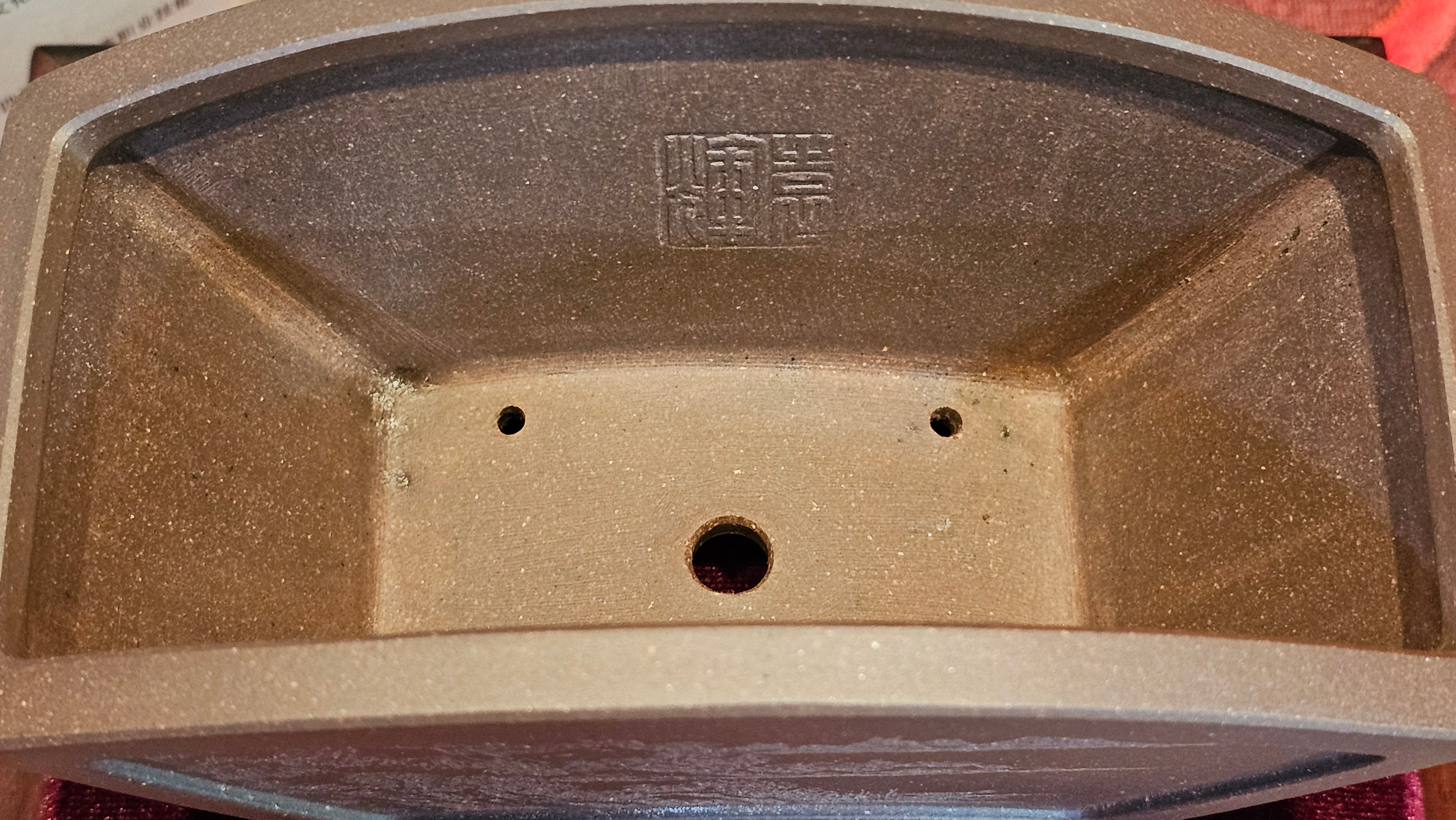 《清贡扇形盆》"Qing Gong Shan Xing Pen ~ Qing Style Fan-Shape Open Configuration", Di Cao Qing Zi Ni, by L2A Senior Consummate Artist Yuan Hui 高级振兴技艺师兼高级工艺美术师～袁辉。