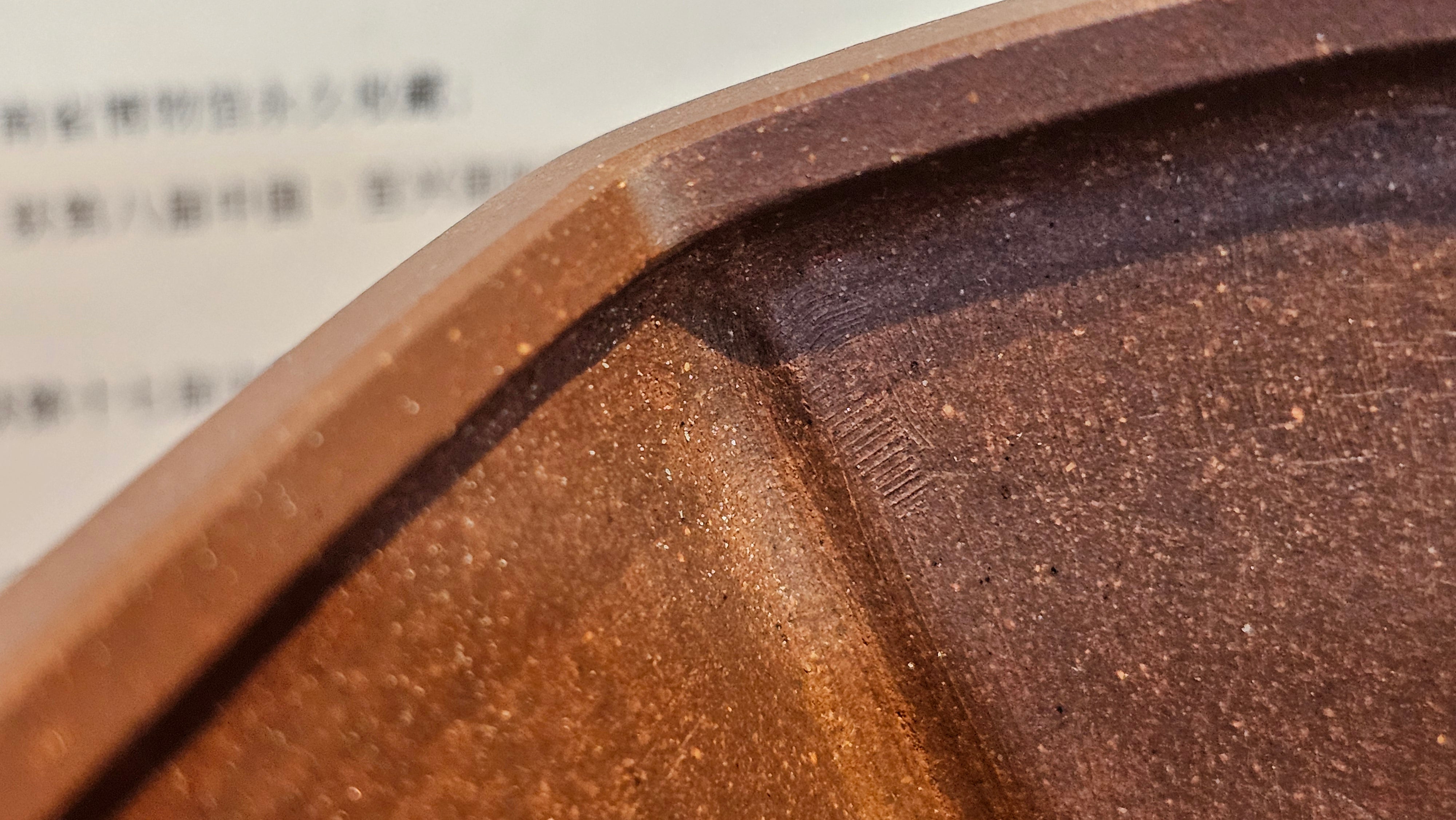 《清贡扇形盆》"Qing Gong Shan Xing Pen ~ Qing Style Fan-Shape Open Configuration", Di Cao Qing Zi Ni, by L2A Senior Consummate Artist Yuan Hui 高级振兴技艺师兼高级工艺美术师～袁辉。