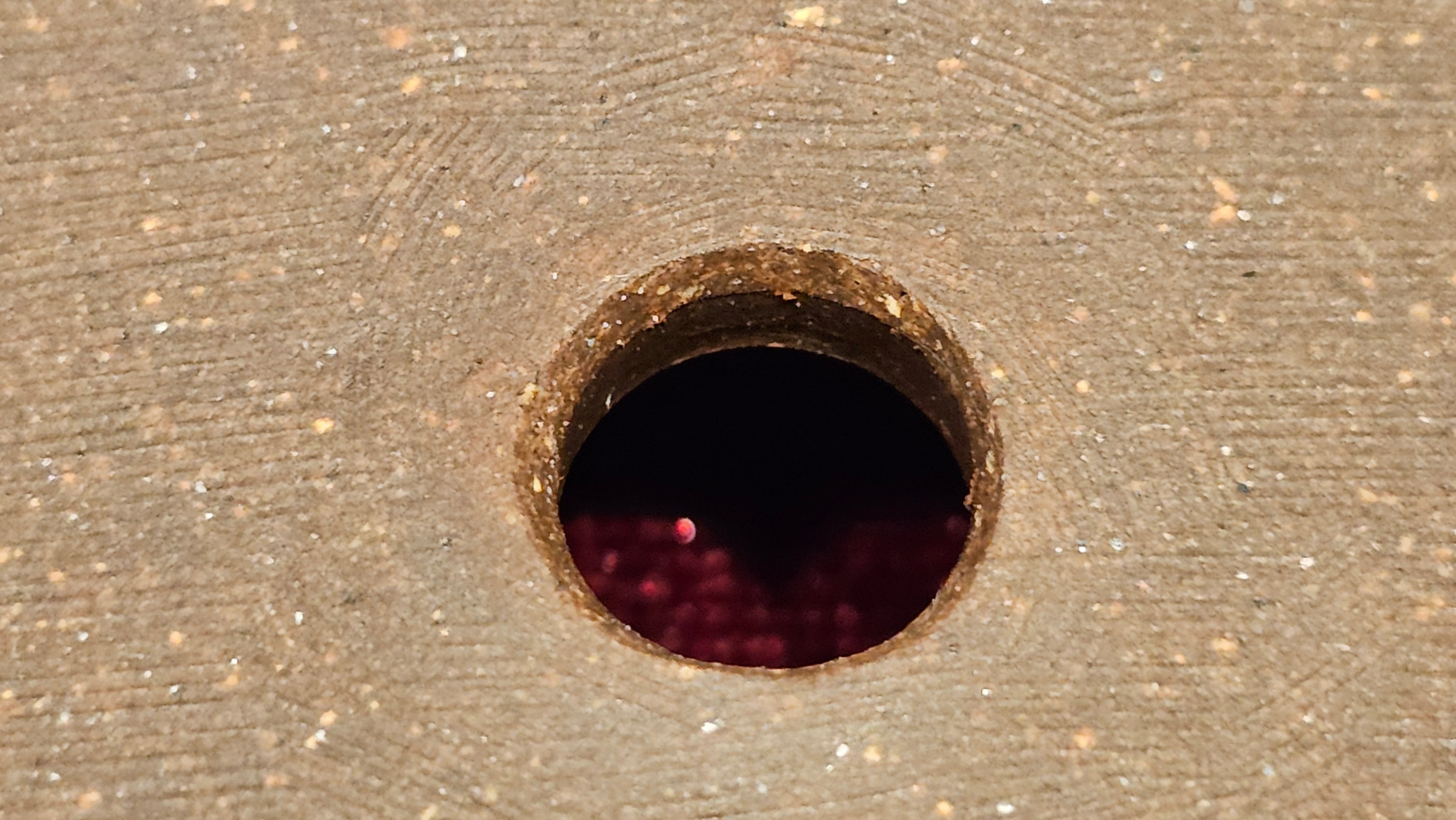 《清贡扇形盆》"Qing Gong Shan Xing Pen ~ Qing Style Fan-Shape Open Configuration", Di Cao Qing Zi Ni, by L2A Senior Consummate Artist Yuan Hui 高级振兴技艺师兼高级工艺美术师～袁辉。