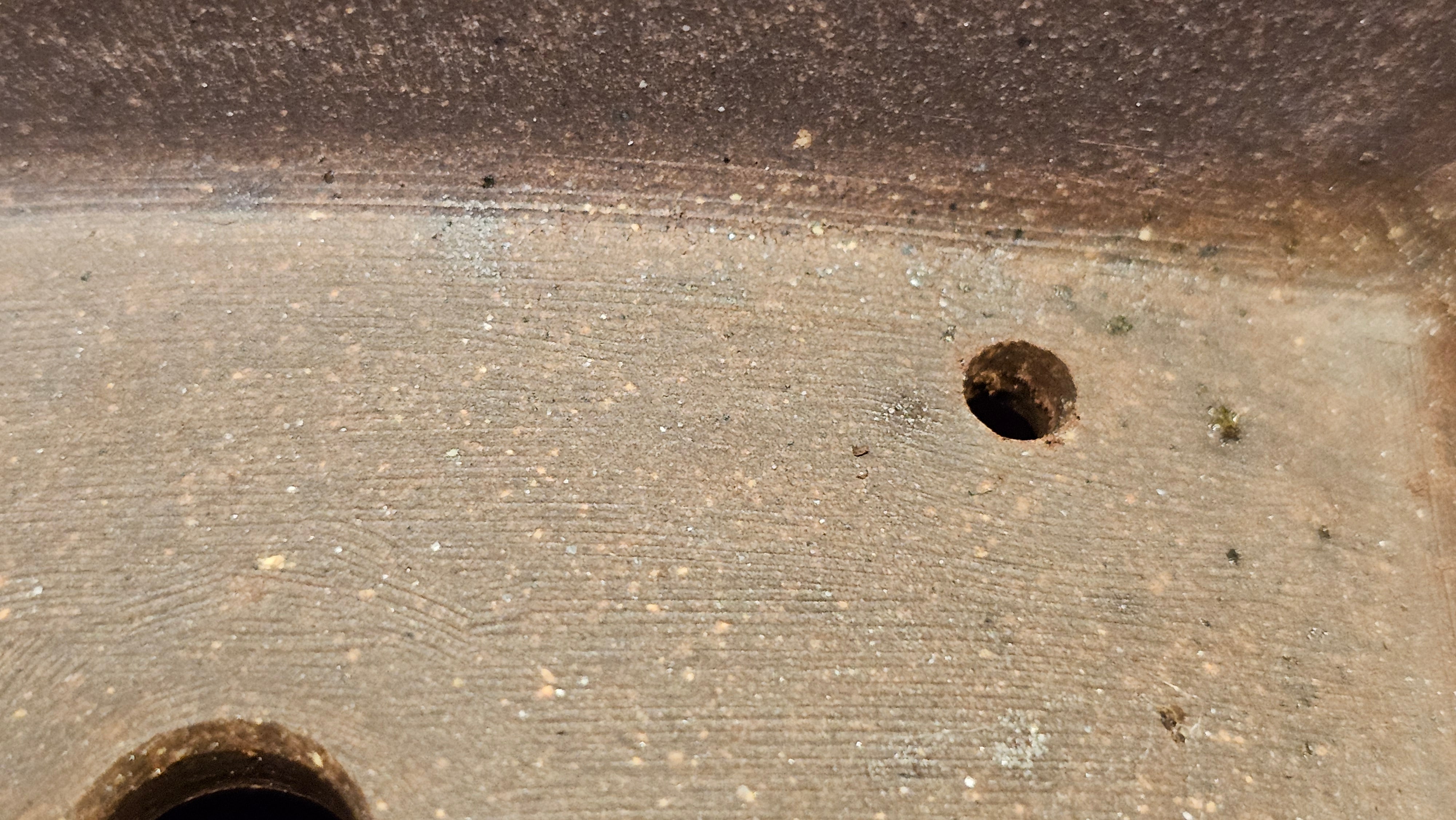 《清贡扇形盆》"Qing Gong Shan Xing Pen ~ Qing Style Fan-Shape Open Configuration", Di Cao Qing Zi Ni, by L2A Senior Consummate Artist Yuan Hui 高级振兴技艺师兼高级工艺美术师～袁辉。