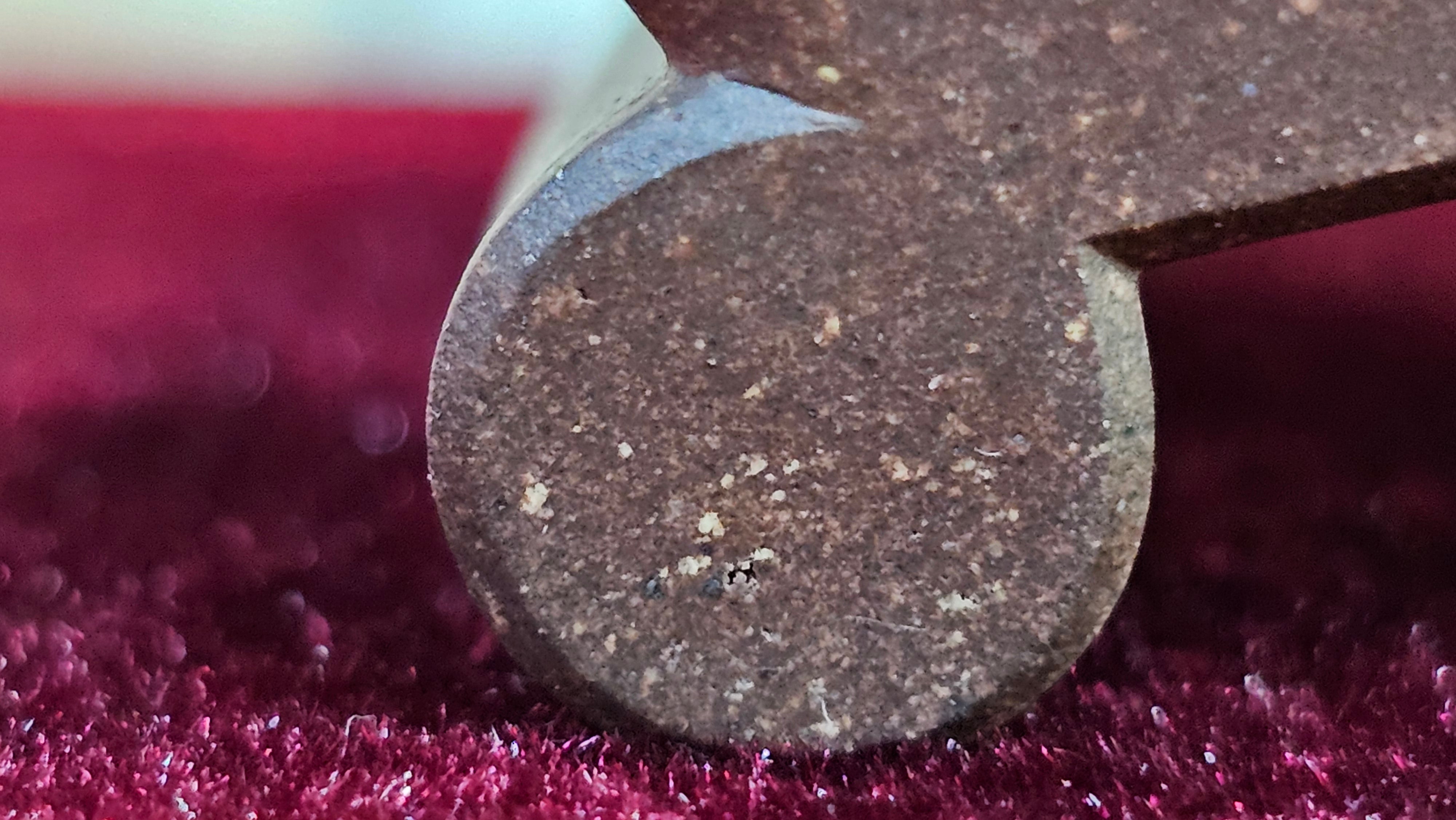 《清贡扇形盆》"Qing Gong Shan Xing Pen ~ Qing Style Fan-Shape Open Configuration", Di Cao Qing Zi Ni, by L2A Senior Consummate Artist Yuan Hui 高级振兴技艺师兼高级工艺美术师～袁辉。