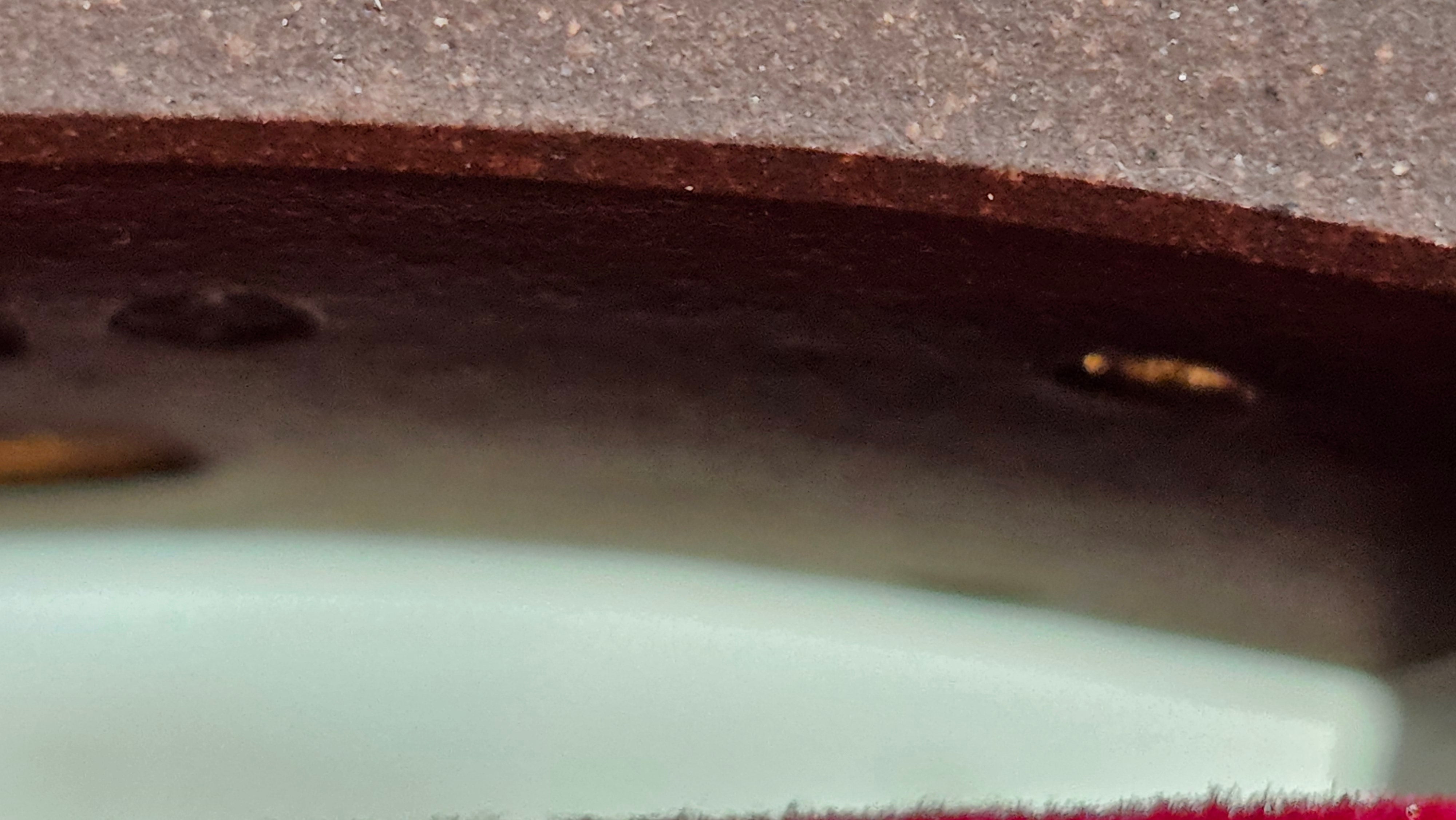 《清贡扇形盆》"Qing Gong Shan Xing Pen ~ Qing Style Fan-Shape Open Configuration", Di Cao Qing Zi Ni, by L2A Senior Consummate Artist Yuan Hui 高级振兴技艺师兼高级工艺美术师～袁辉。