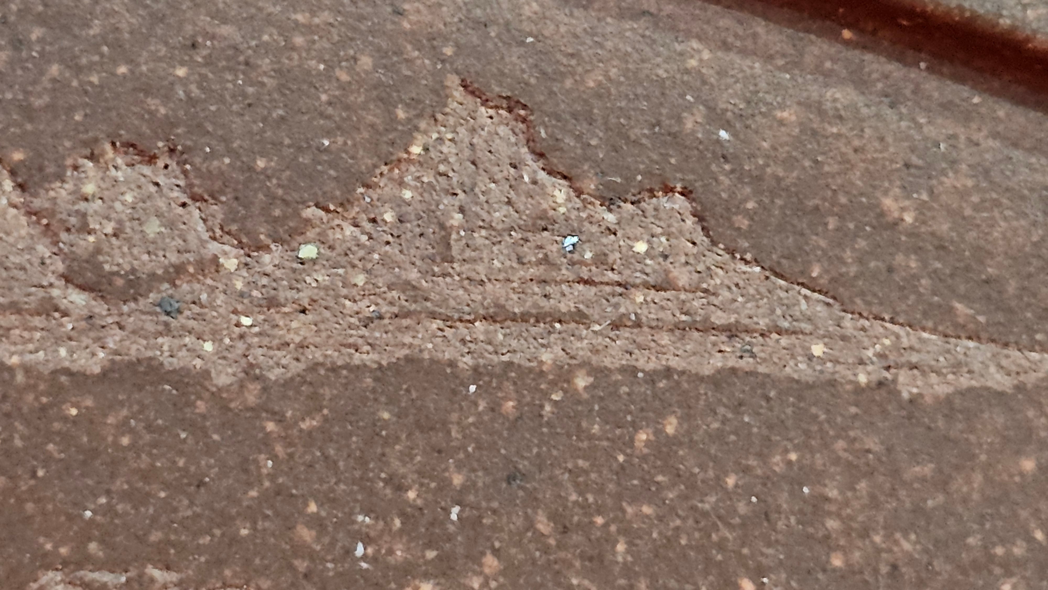 《清贡扇形盆》"Qing Gong Shan Xing Pen ~ Qing Style Fan-Shape Open Configuration", Di Cao Qing Zi Ni, by L2A Senior Consummate Artist Yuan Hui 高级振兴技艺师兼高级工艺美术师～袁辉。