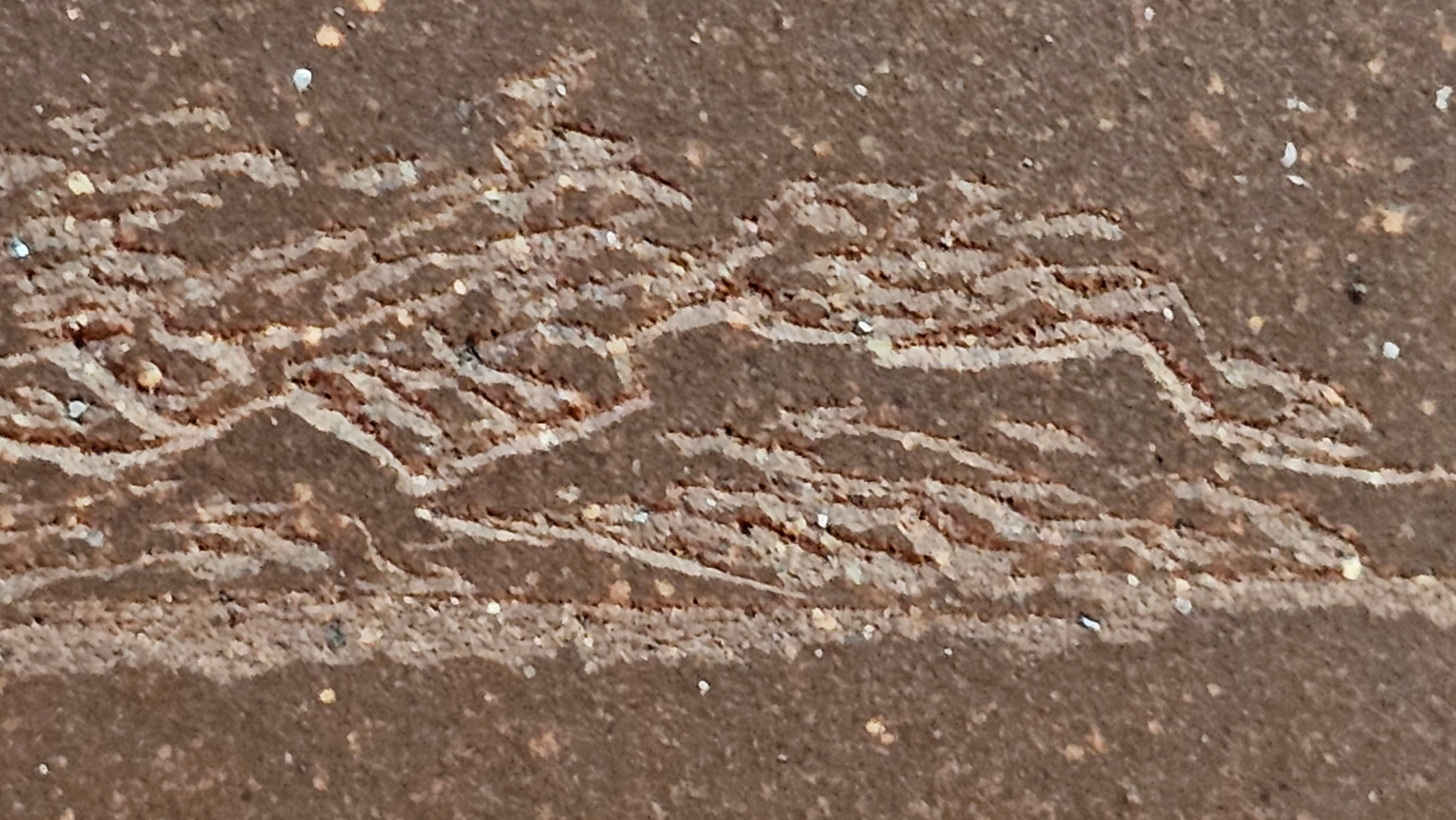 《清贡扇形盆》"Qing Gong Shan Xing Pen ~ Qing Style Fan-Shape Open Configuration", Di Cao Qing Zi Ni, by L2A Senior Consummate Artist Yuan Hui 高级振兴技艺师兼高级工艺美术师～袁辉。