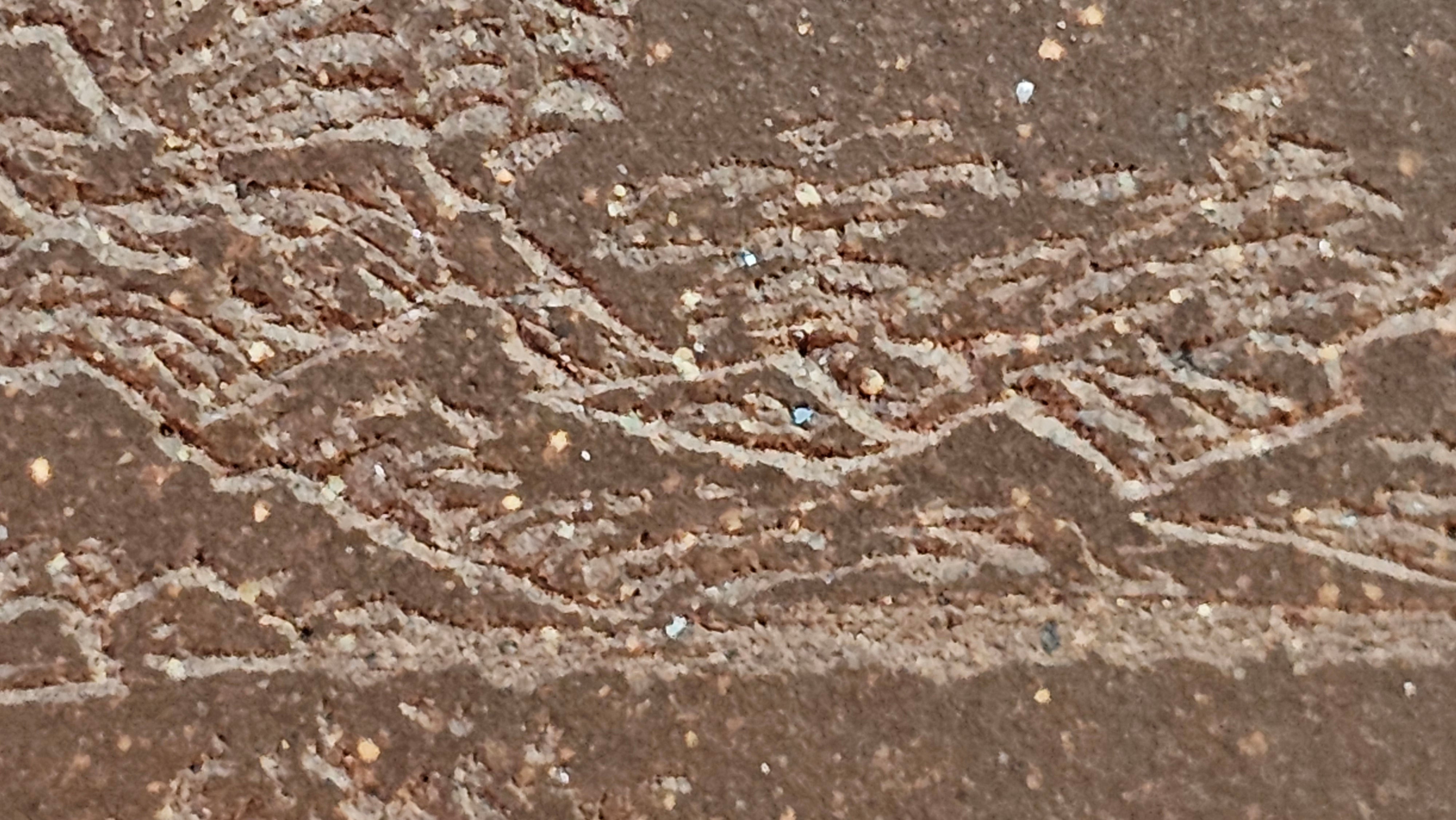 《清贡扇形盆》"Qing Gong Shan Xing Pen ~ Qing Style Fan-Shape Open Configuration", Di Cao Qing Zi Ni, by L2A Senior Consummate Artist Yuan Hui 高级振兴技艺师兼高级工艺美术师～袁辉。